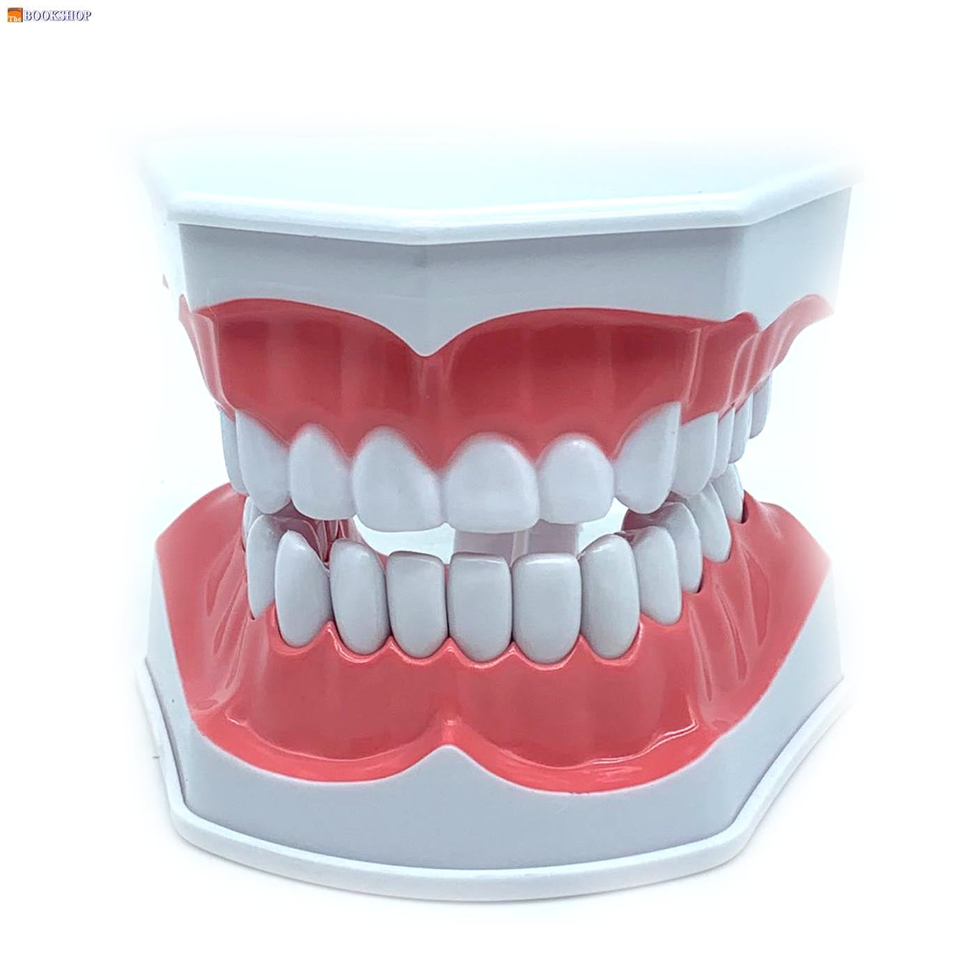 THE HEALTH CARE OF MOUTH CAVITY -SMALL