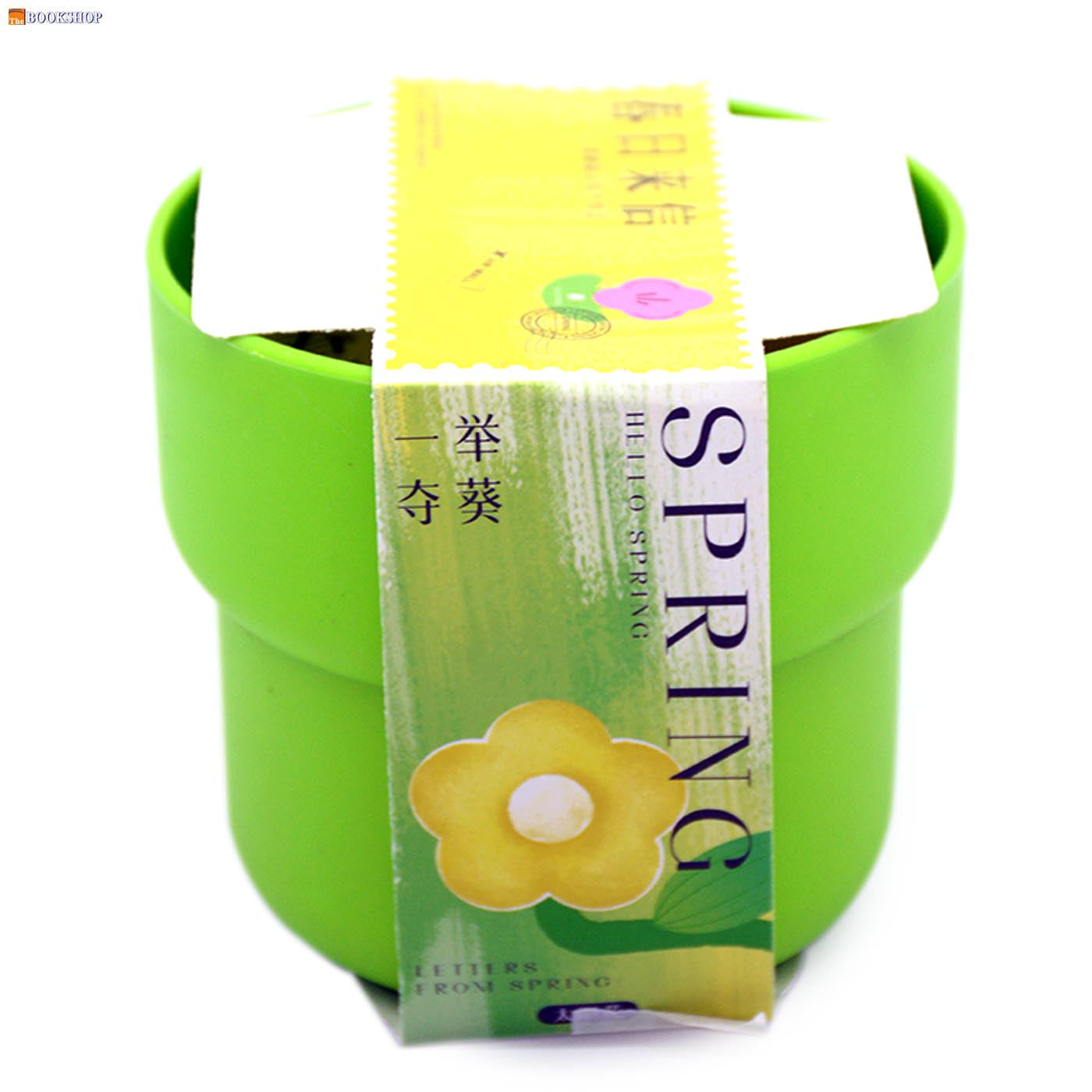 SPRING LETTERS STEPS POTTED PLANTS(FLOWERS)
