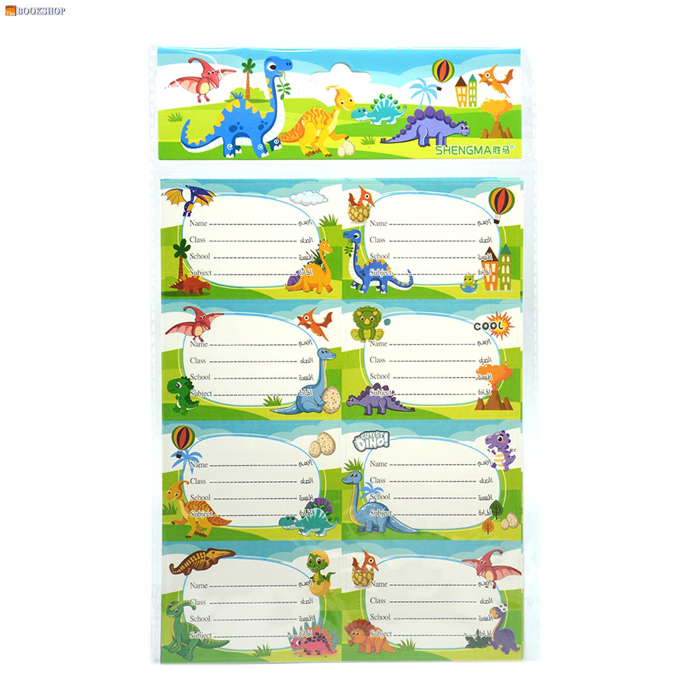 DISNEY/SHENGMA NAME LABELS 5SHEETS-ASSTD رزمة طوابع اسم مدرسية - فروزن"