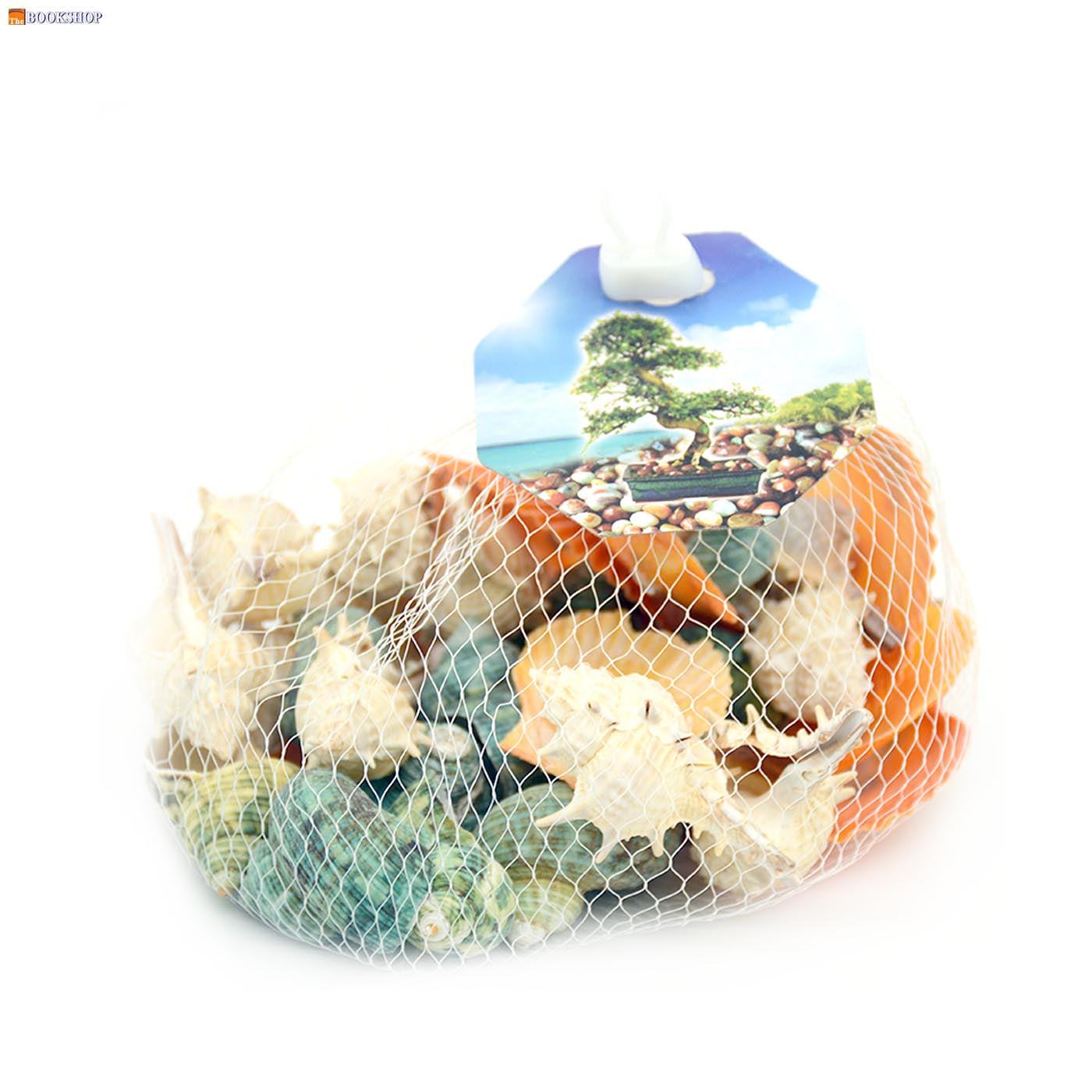 CRAFT SEA SHELL 200G 24624-4