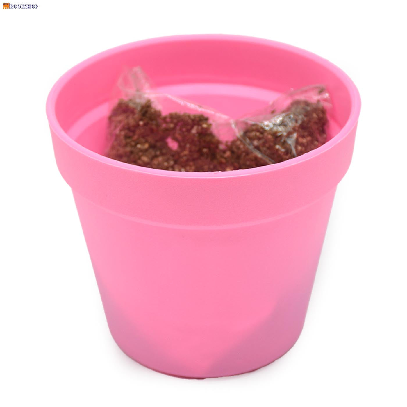 SPRING LETTER POTTED PLANT (FLOWERS)