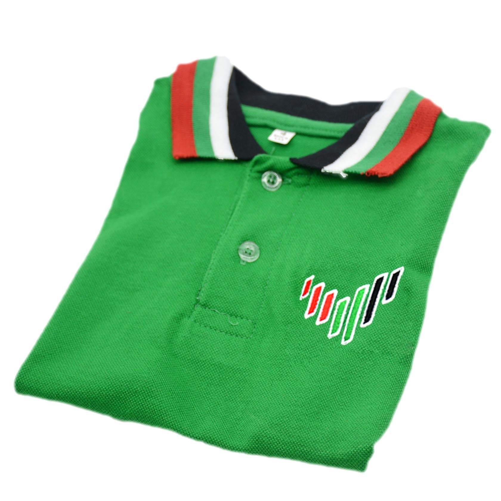 POLO SHIRT W/ UAE COL COLLAR ASSTD