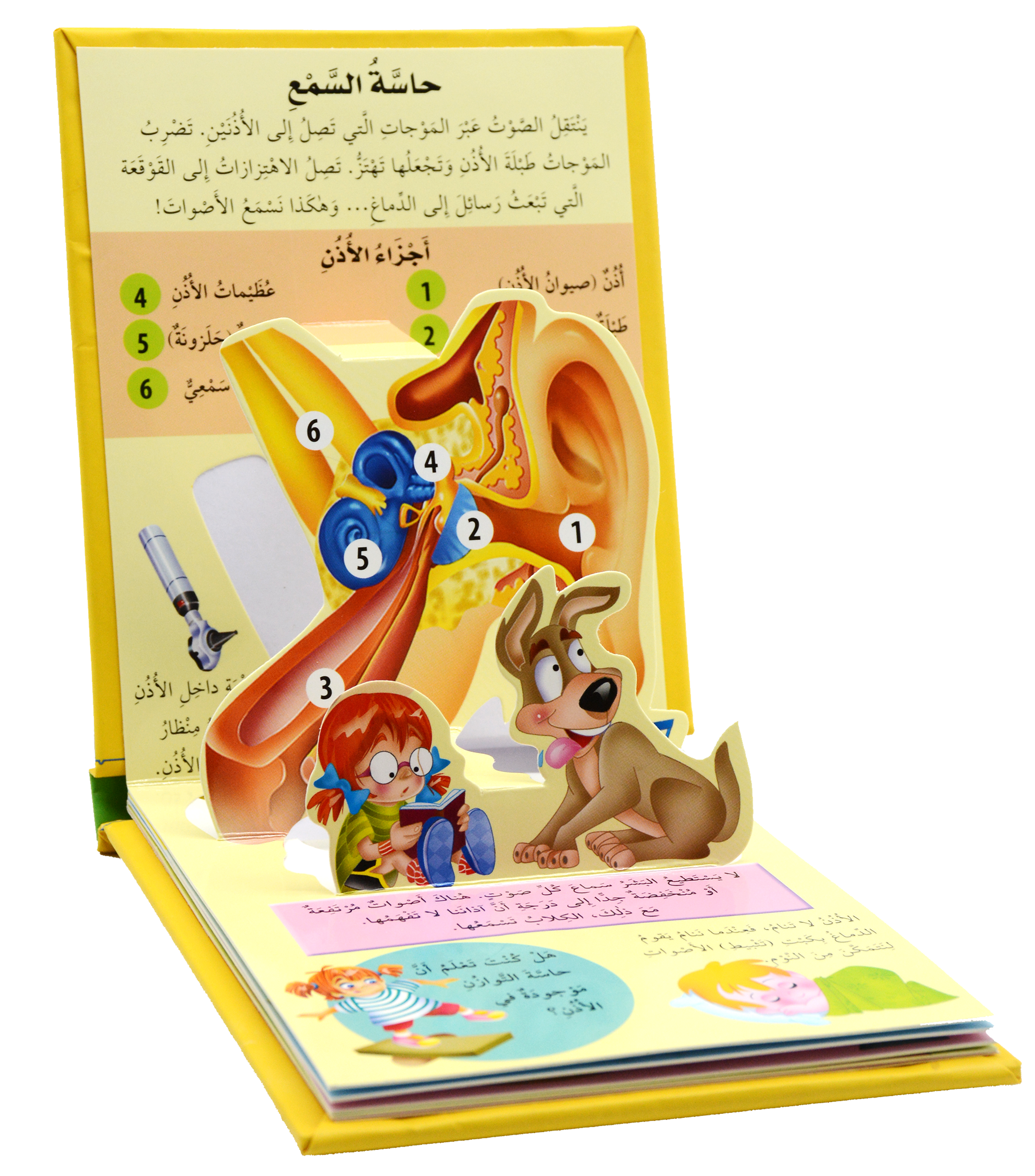 جسم الانسان - الحواس الخمس - العلوم المجسمة