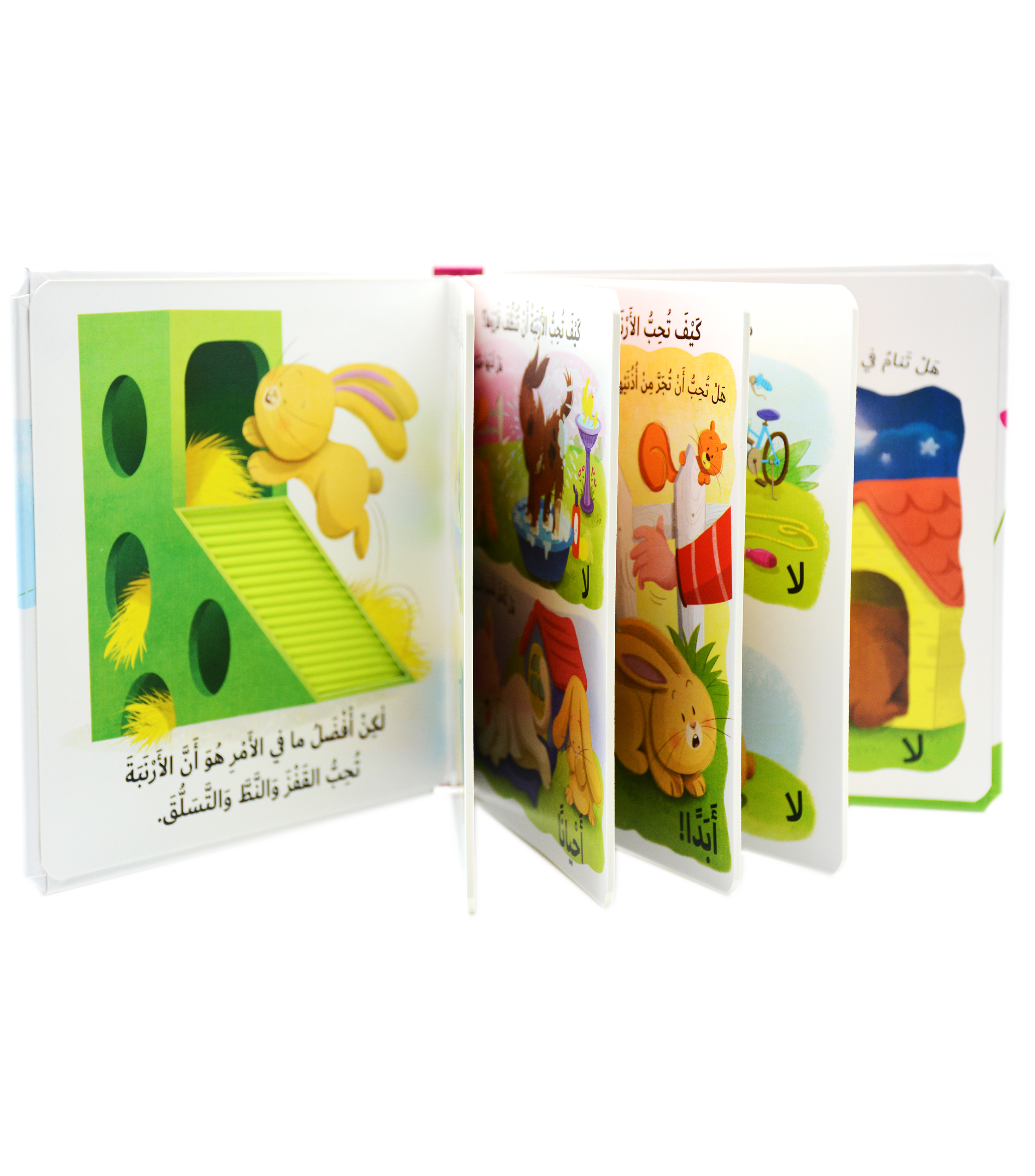 التعلم بحاسة اللمس - ما الذي تحبة الارنبة