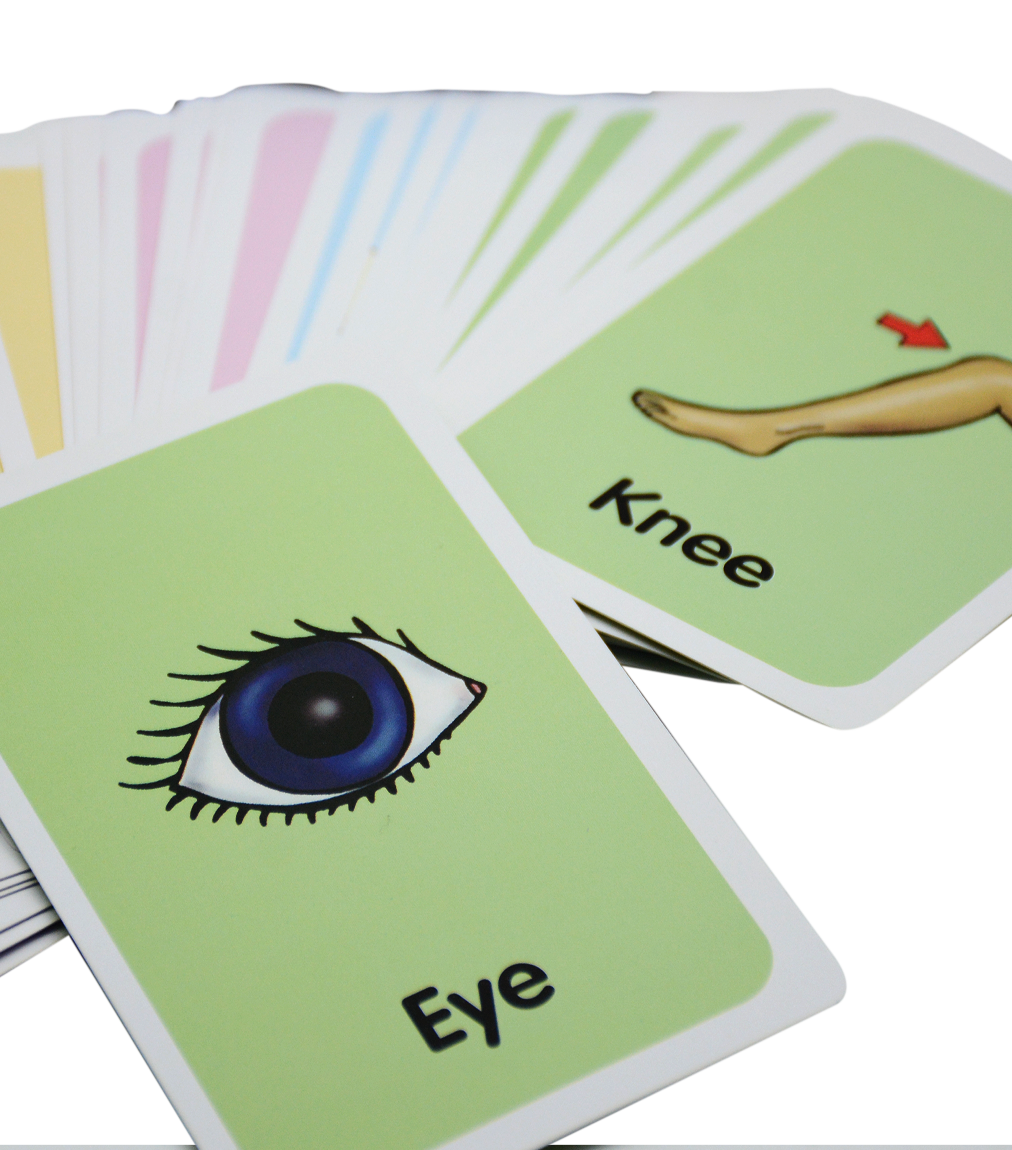 MOTARRO BODY PARTS FLASH CARD 36SHT