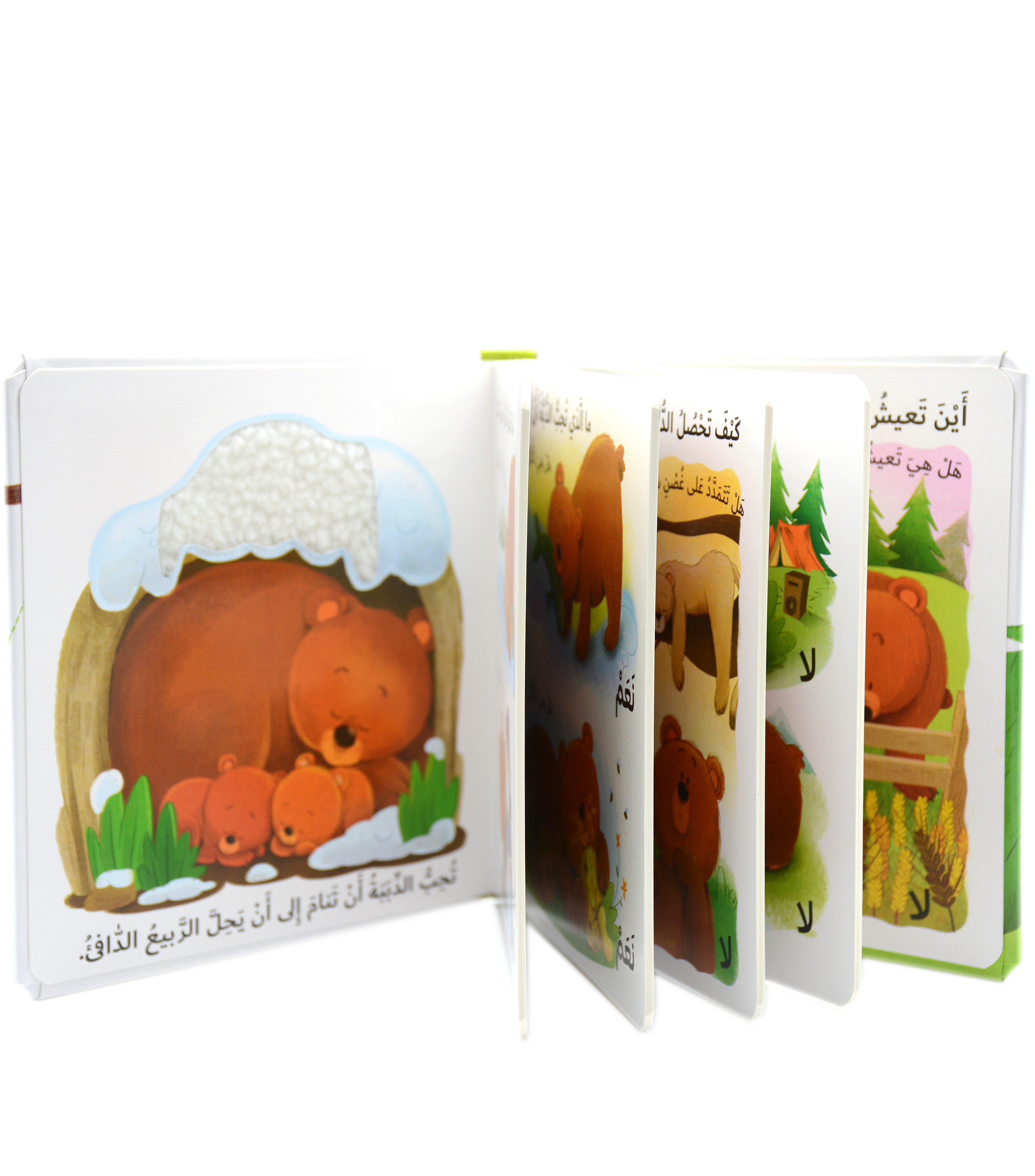 التعلم بحاسة اللمس - ما الذي تحبه الدبة