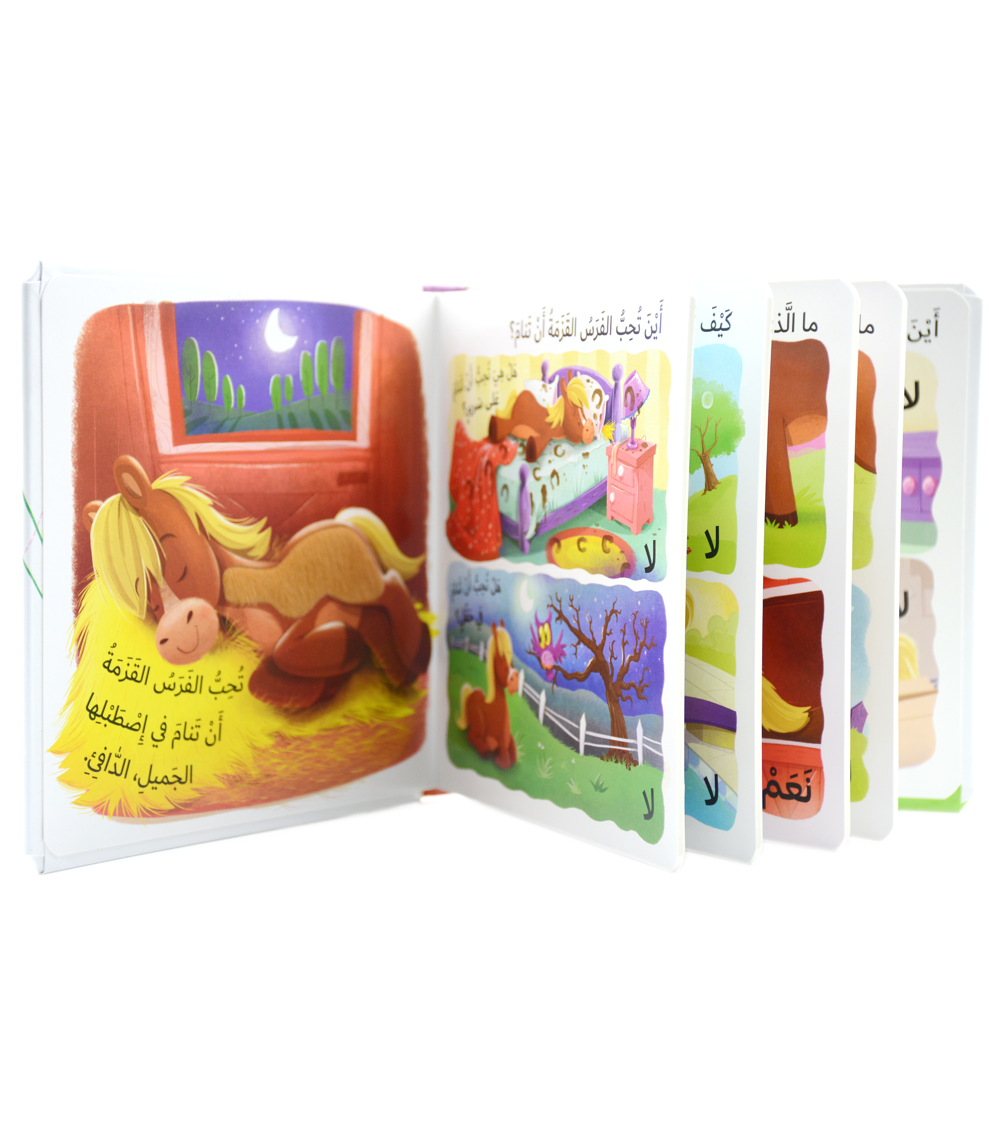 التعلم بحاسة اللمس - ما الذي تحبه الفرس القزمة