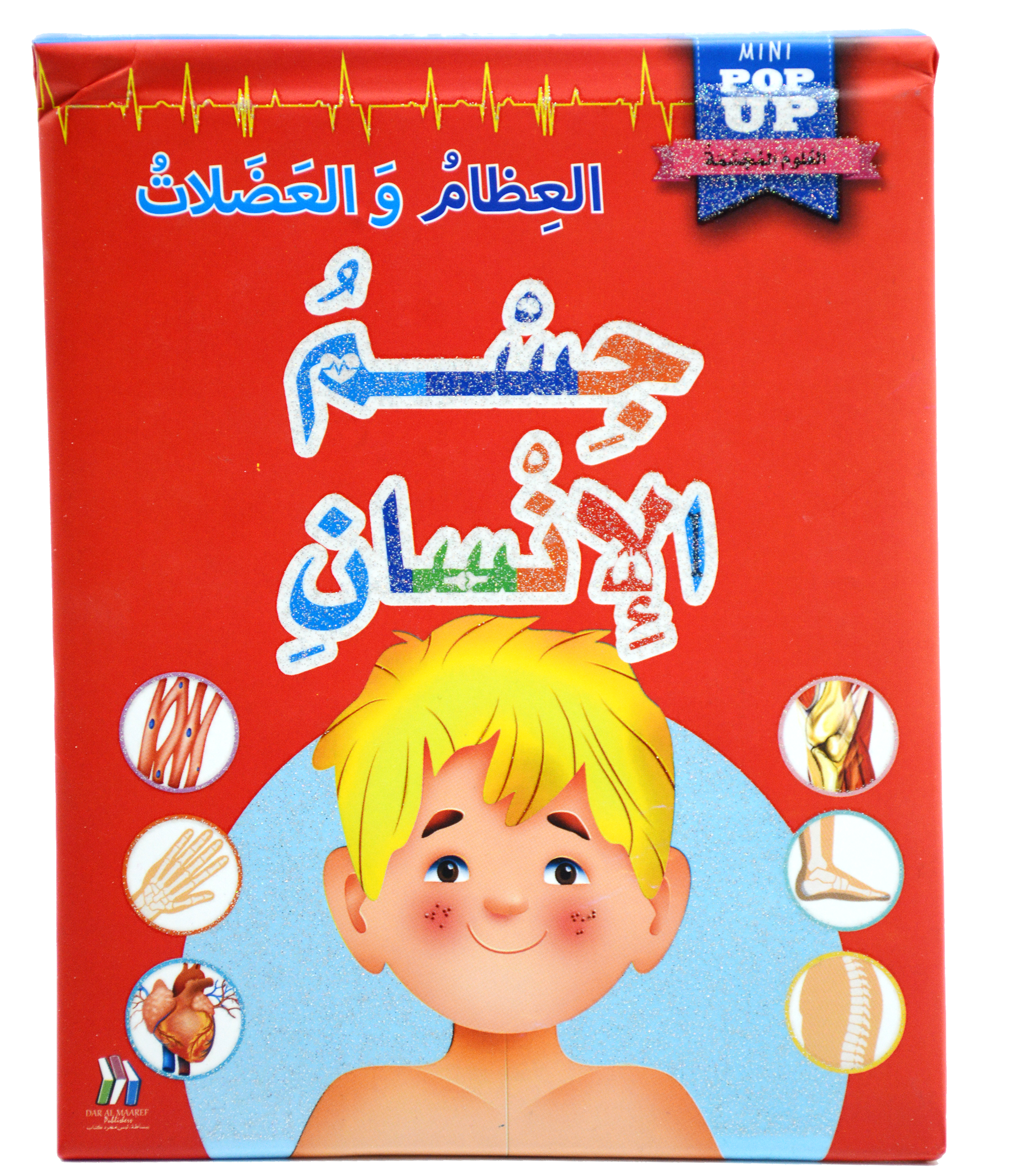 جسم الانسان - العظام والعظلات - العلوم المجسمة