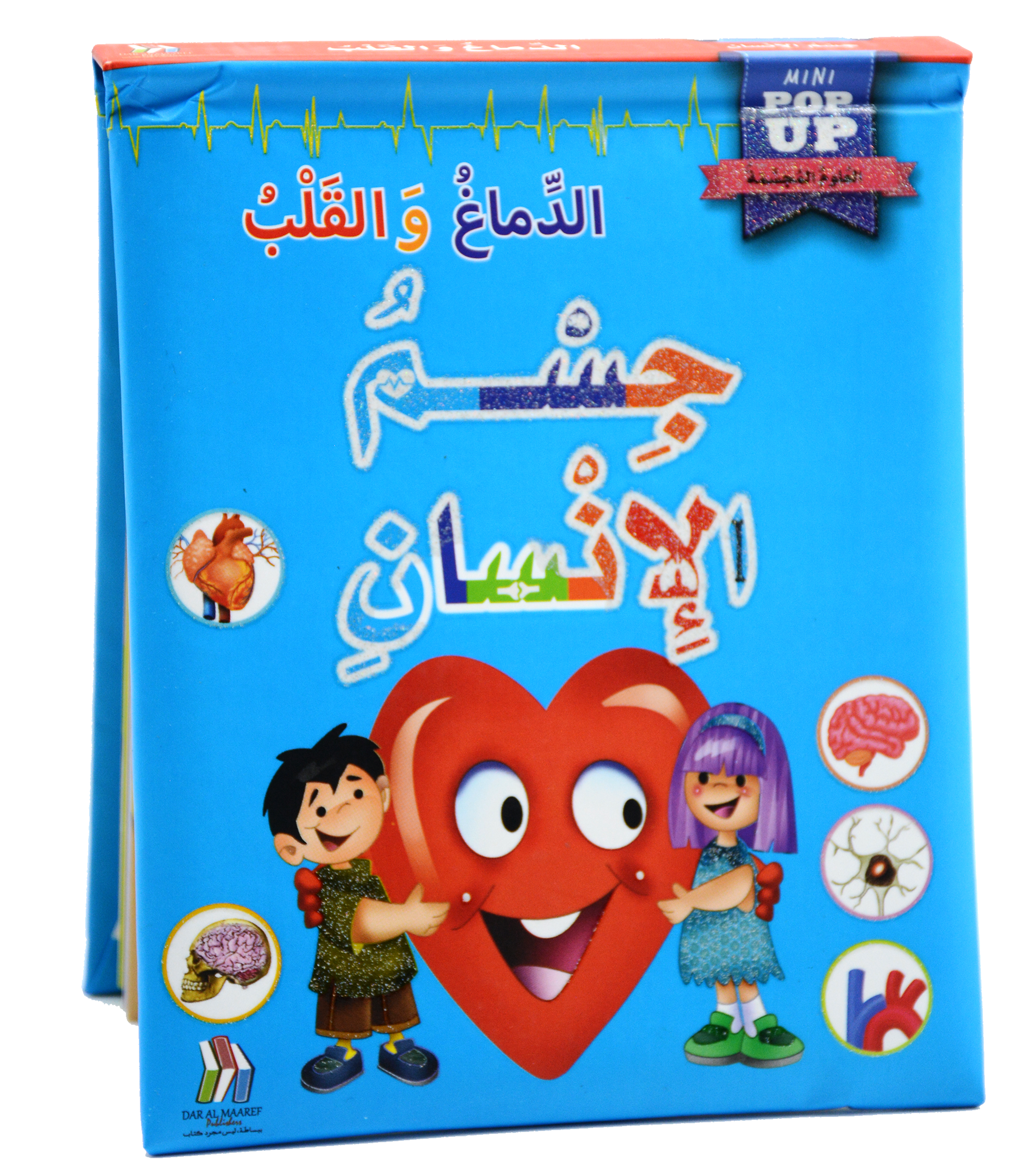 جسم الانسان - الدماغ والقلب - العلوم المجسمة