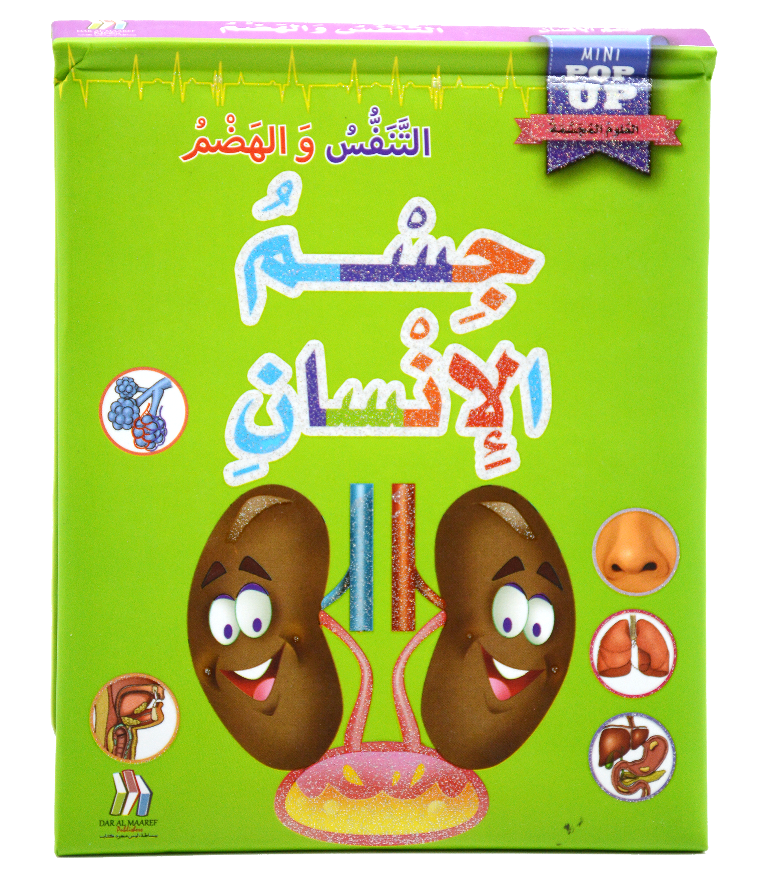 جسم الانسان - التنفس والهضم - العلوم المجسمة