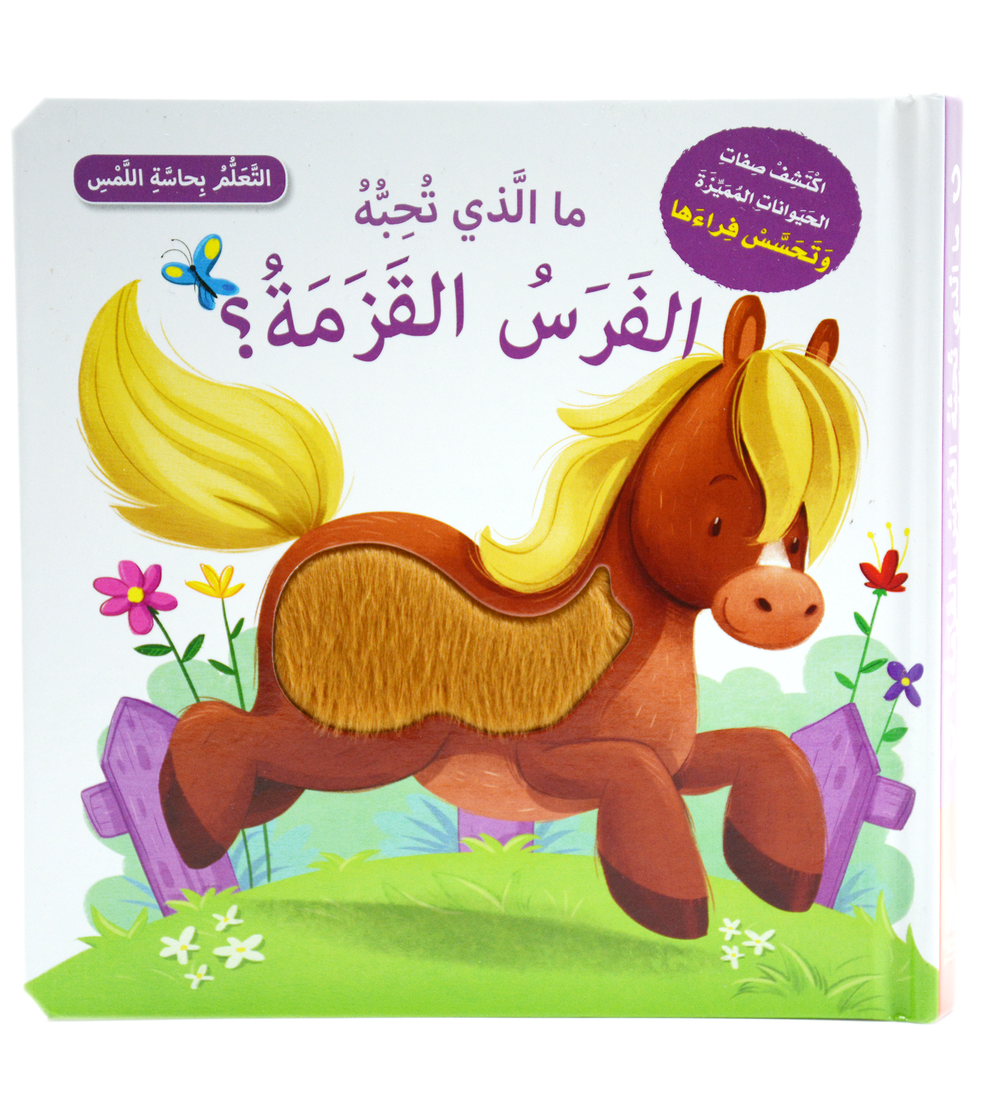 التعلم بحاسة اللمس - ما الذي تحبه الفرس القزمة