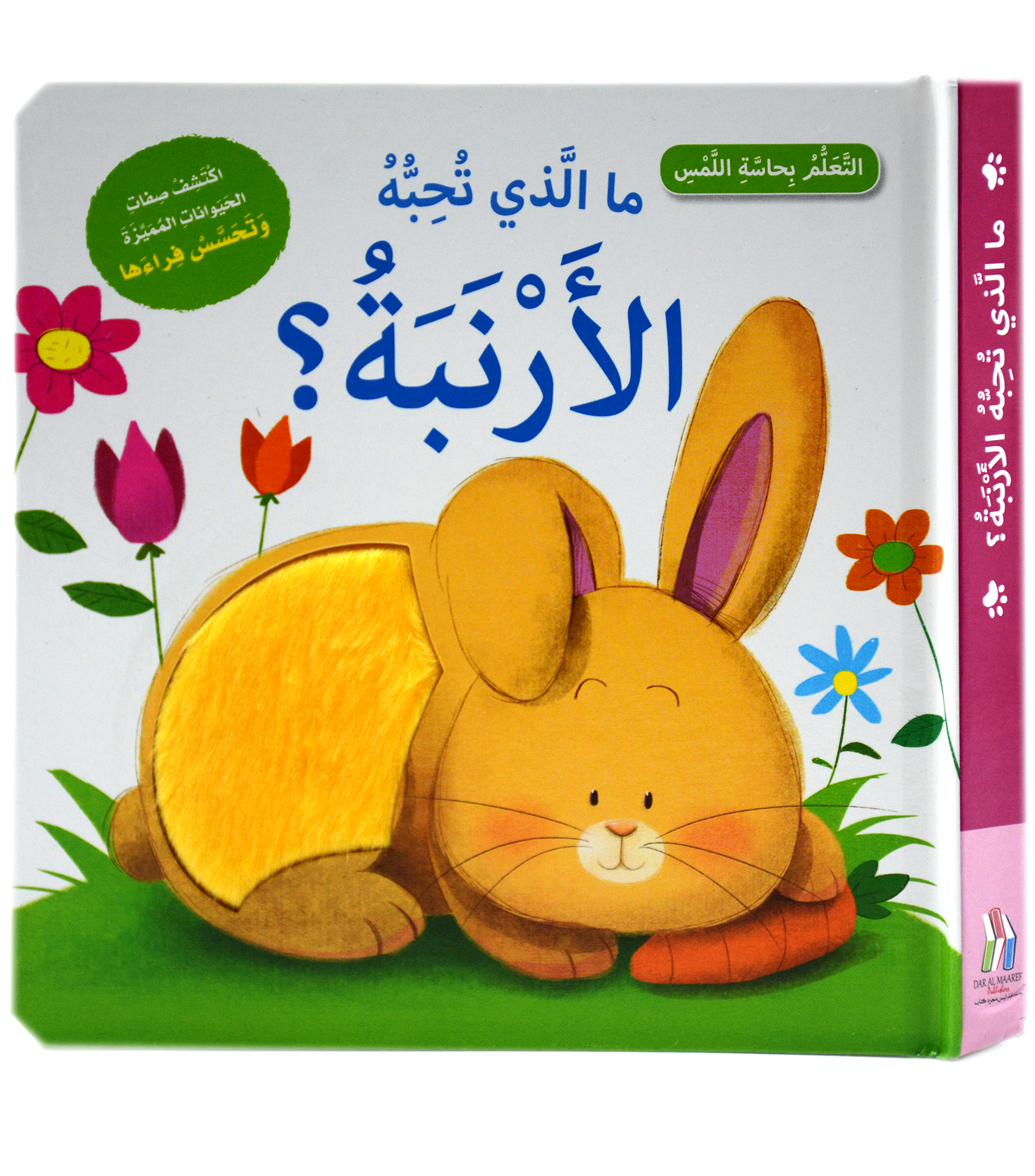 التعلم بحاسة اللمس - ما الذي تحبة الارنبة