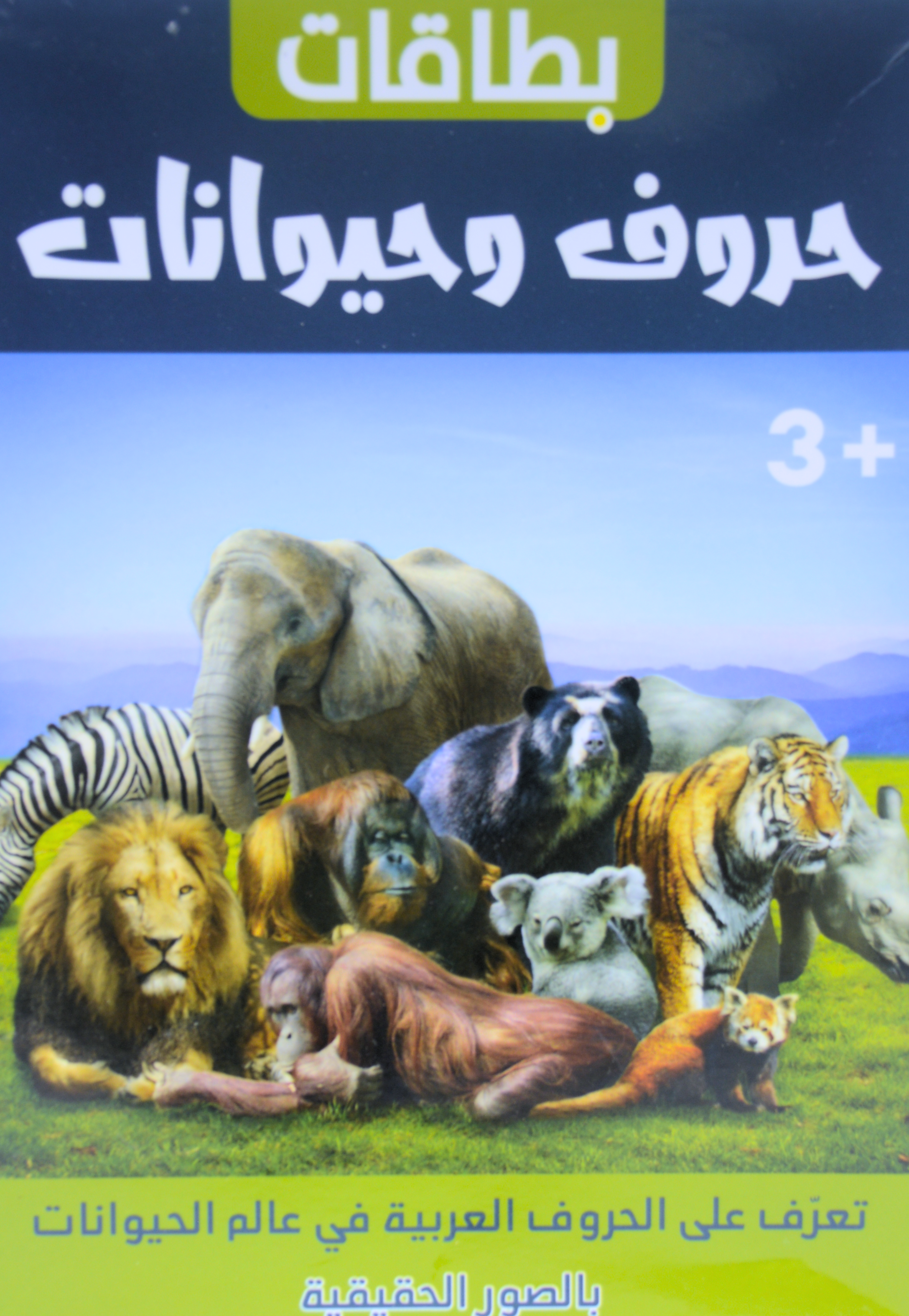 بطاقات - حروف وحيوانات