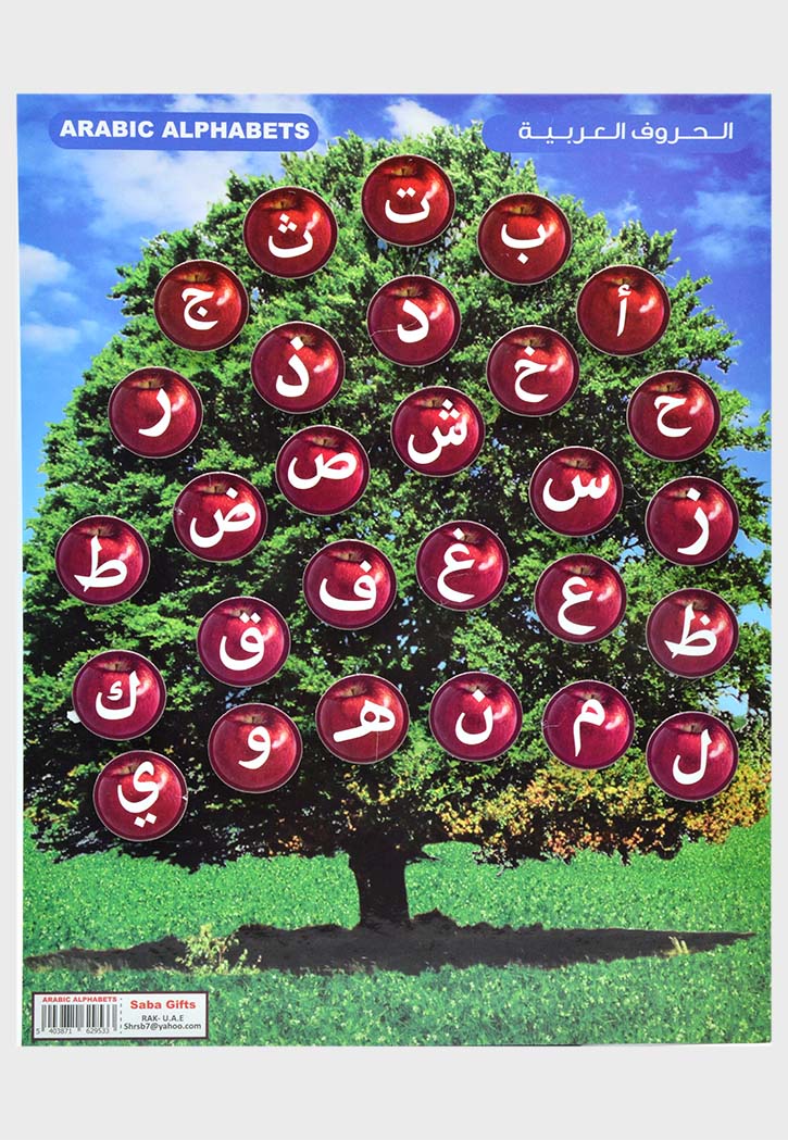 3D Cardboard Alphabet 30x39CM