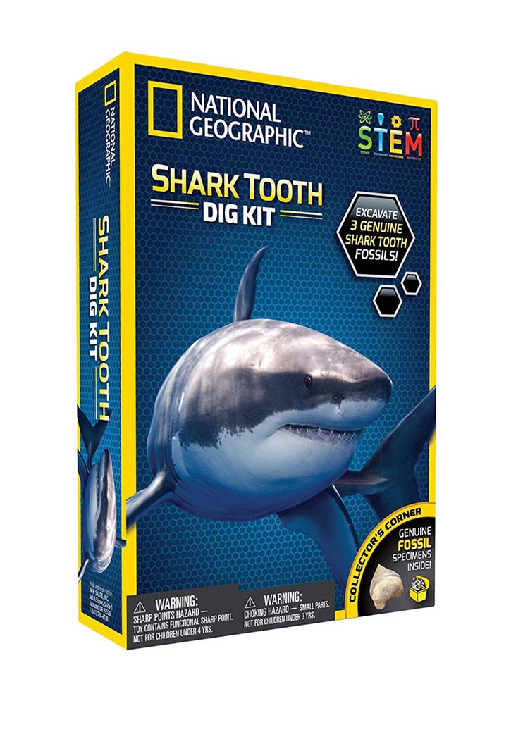 National Geographic - Shark Tooth Dig Kit