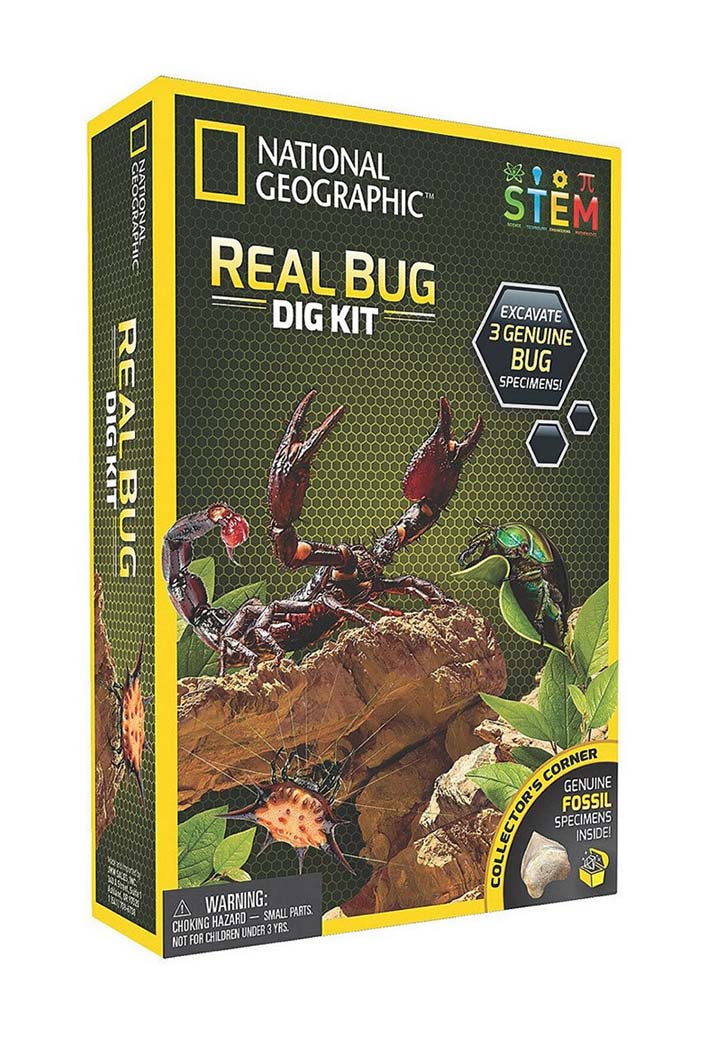 National Geographic - Real Bug Dig Kit