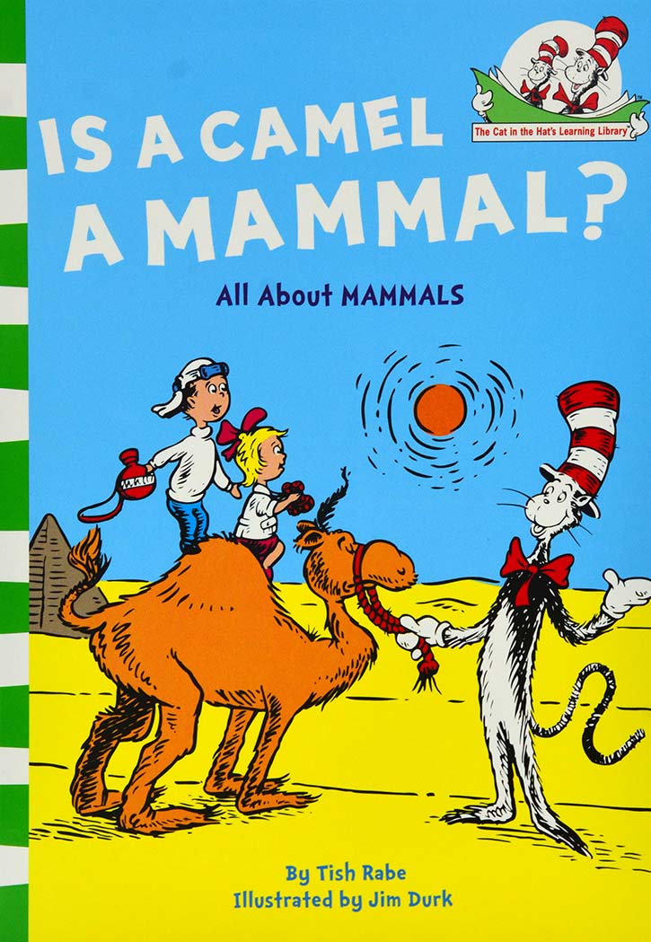 Is a Camel a Mammal?