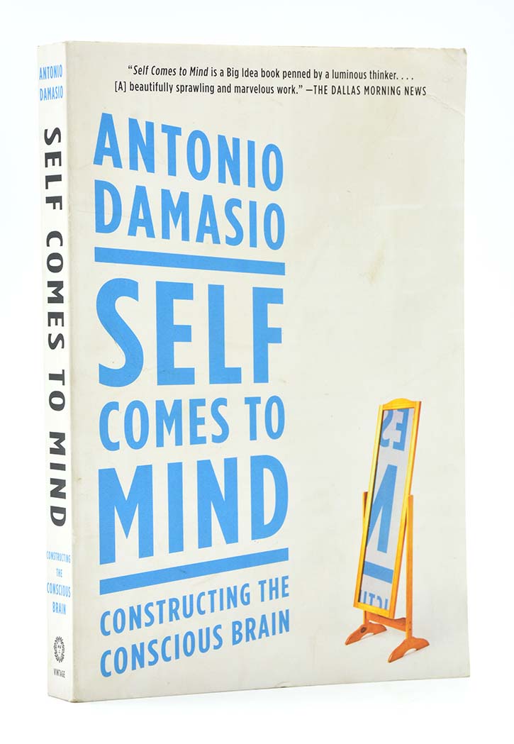 Self Comes to Mind: Constructing the Conscious Brain