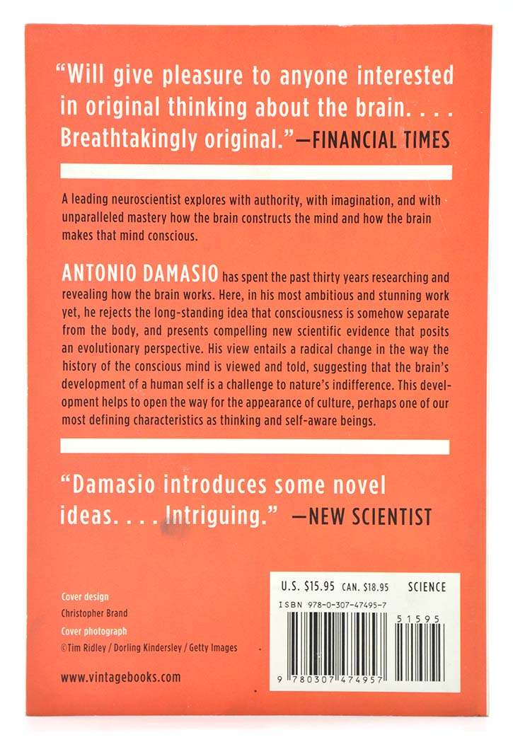 Self Comes to Mind: Constructing the Conscious Brain