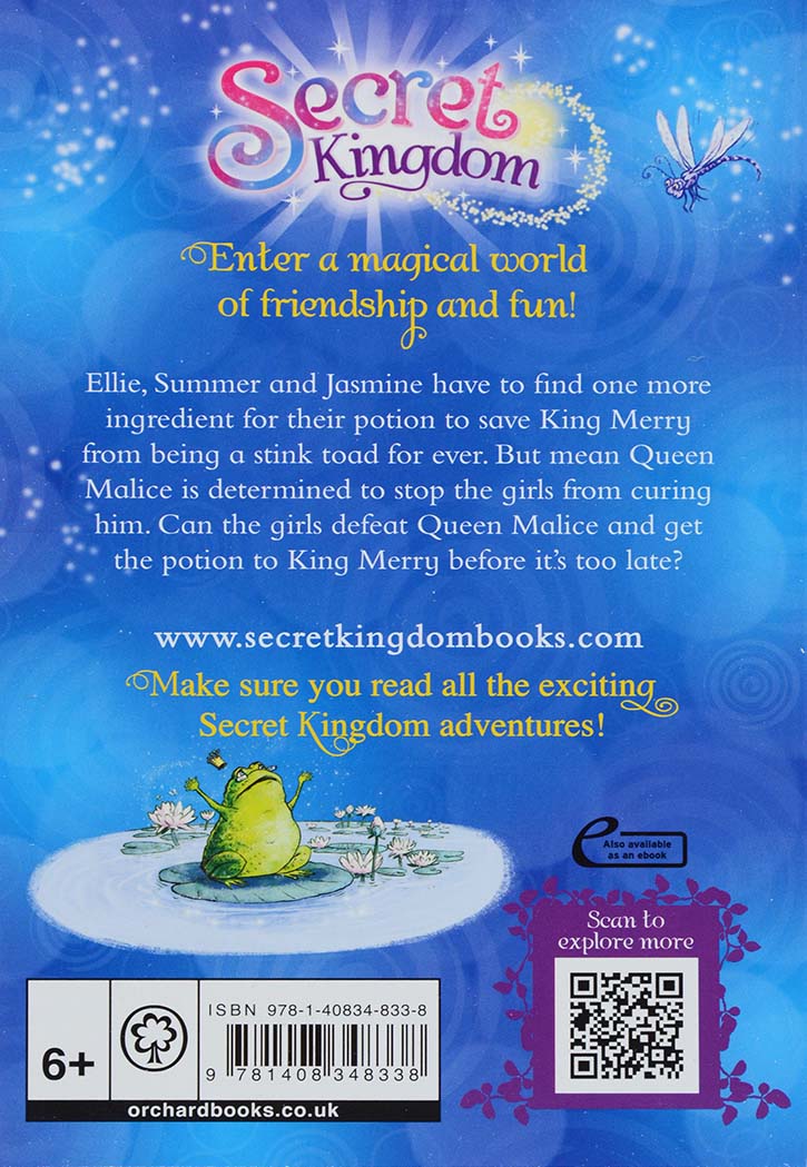 The Secret Kingdom : Midnight Maze