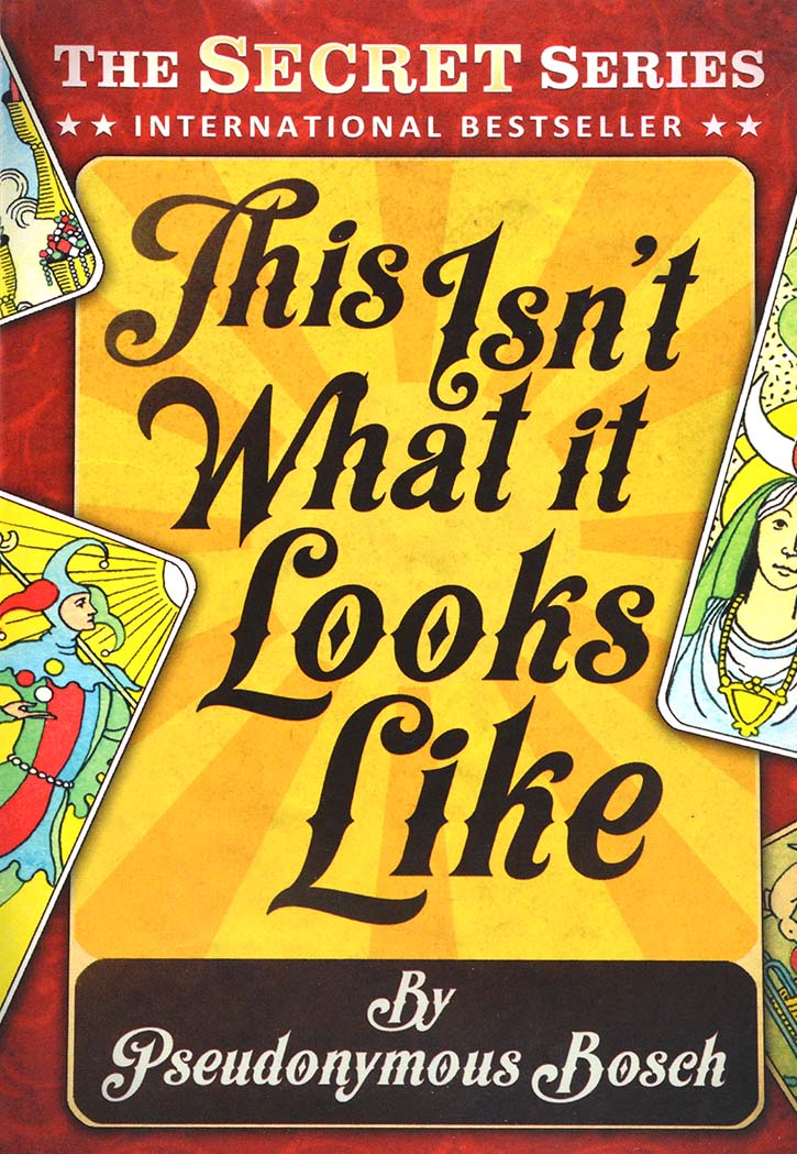 THE SECRET SERIES-THIS IS NOT WHAT IT LOOKS LIKE