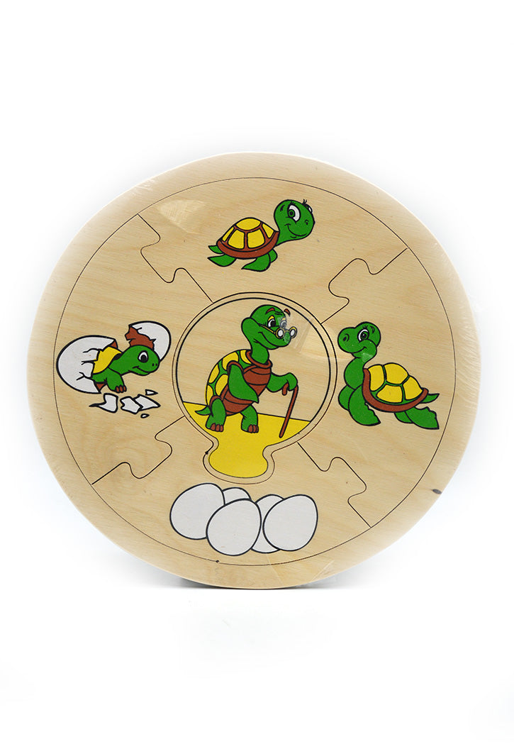 TURTLE GROWTH TABLE قرص نمو السلحفاة (مراحل النمو قرص السلحفاة)