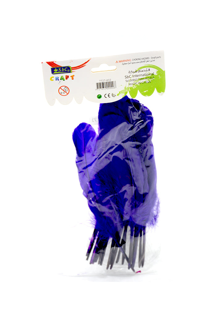 SBC CRAFT FEATHER 20PCS/PKT