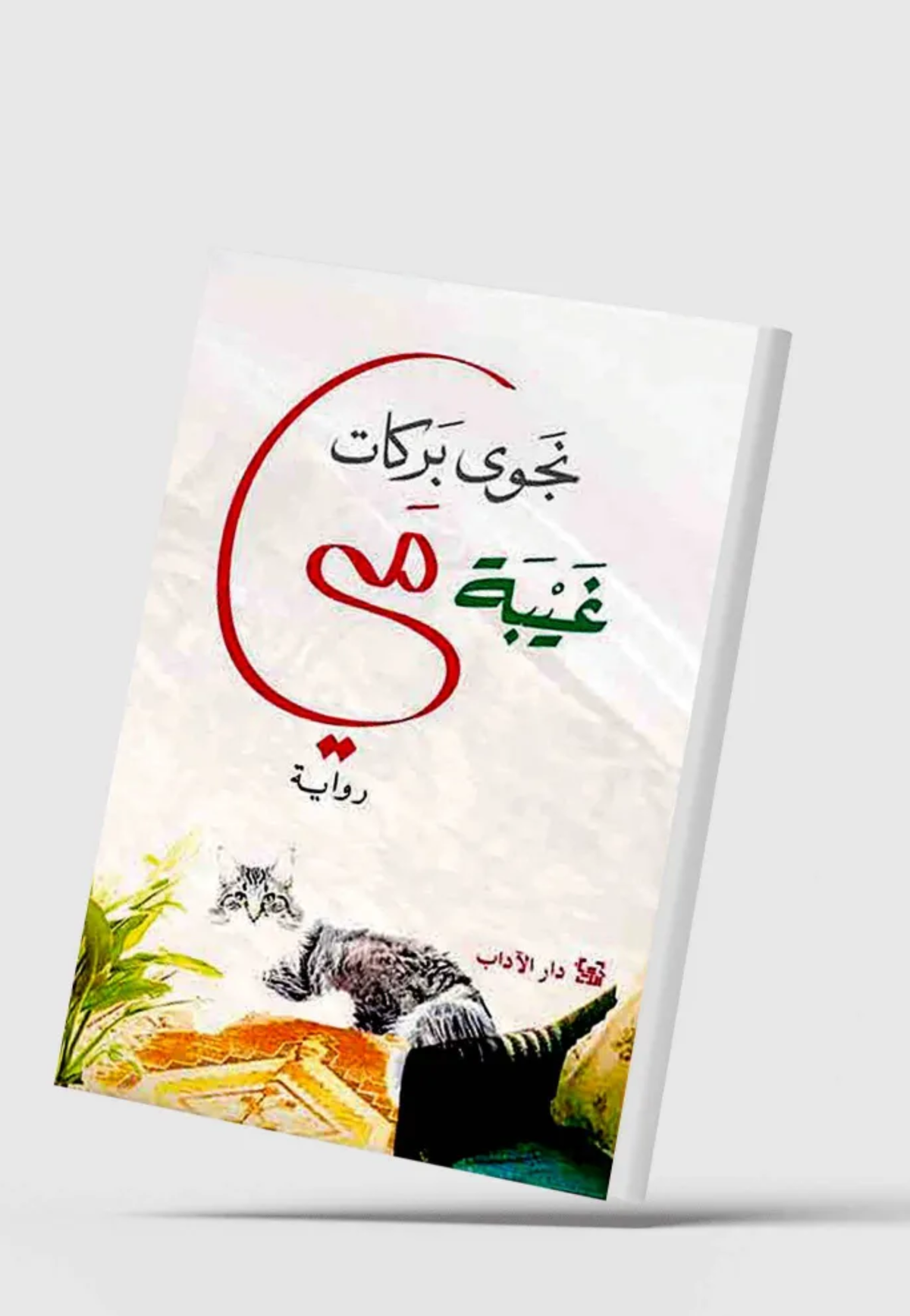 غيبة مي - رواية