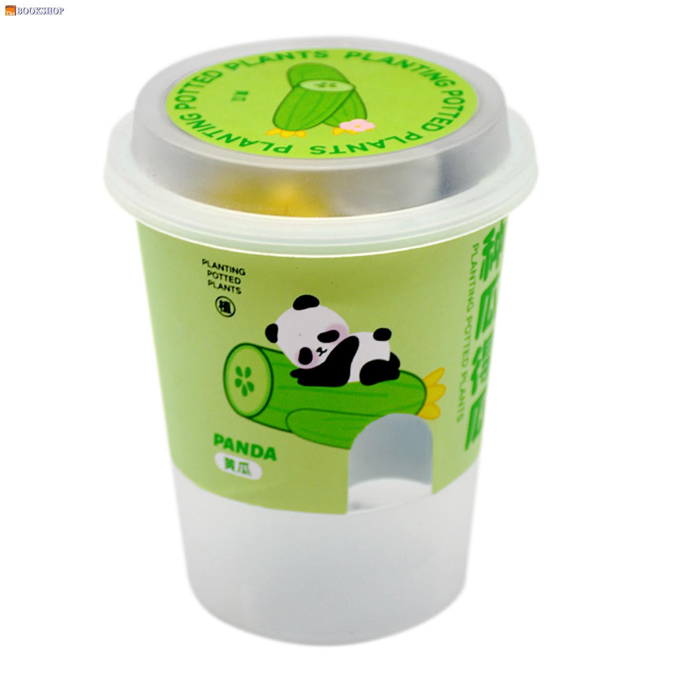 PANDA SERIES PLANTING CUP PLOTTED PLANT -CUCUMBER