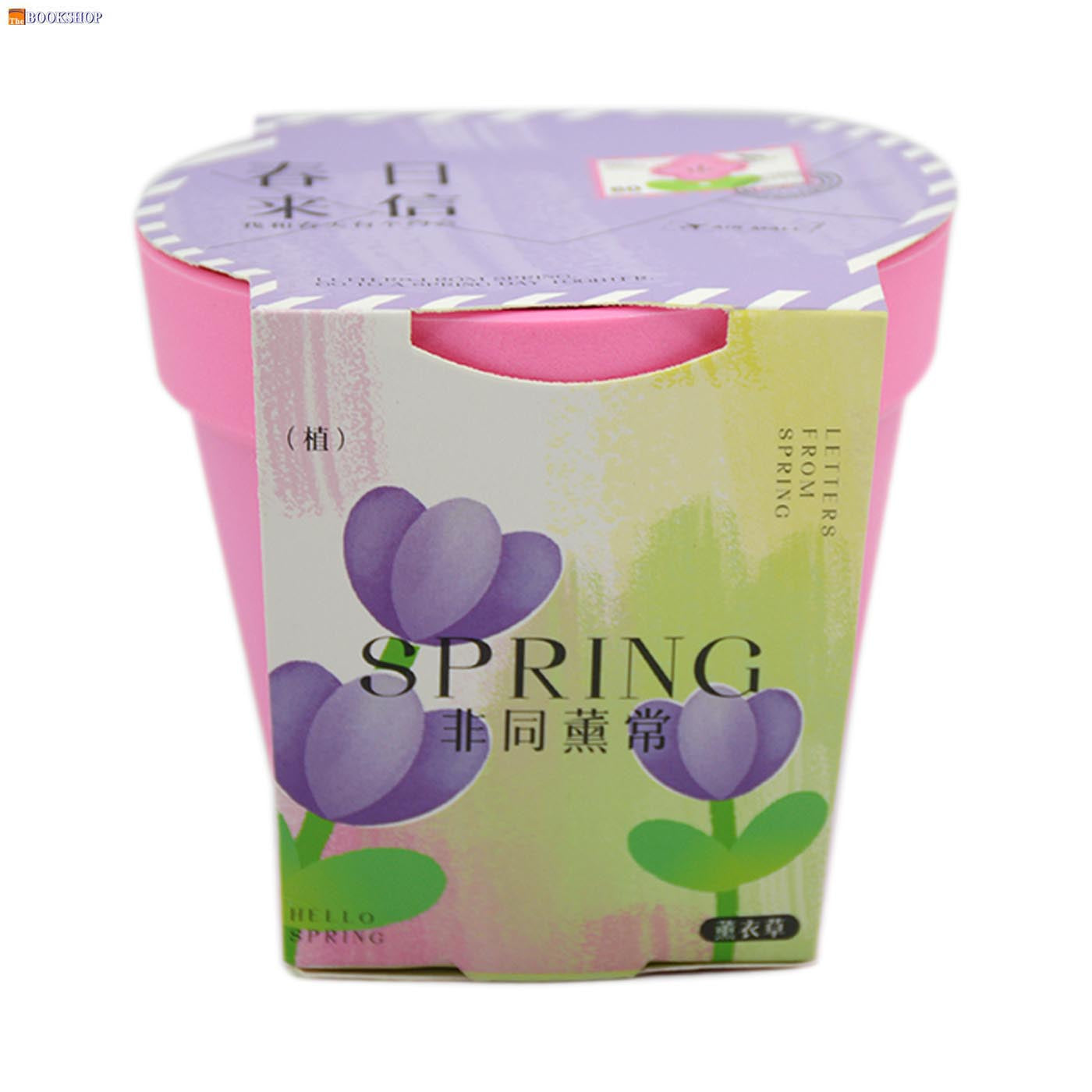 SPRING LETTER POTTED PLANT (FLOWERS)