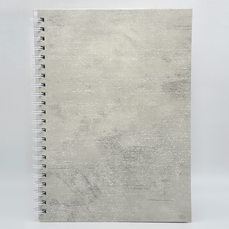 HARD COVER SPIRAL 1LINE NOTEBOOK 100PAGE A4-1001 ASSTD