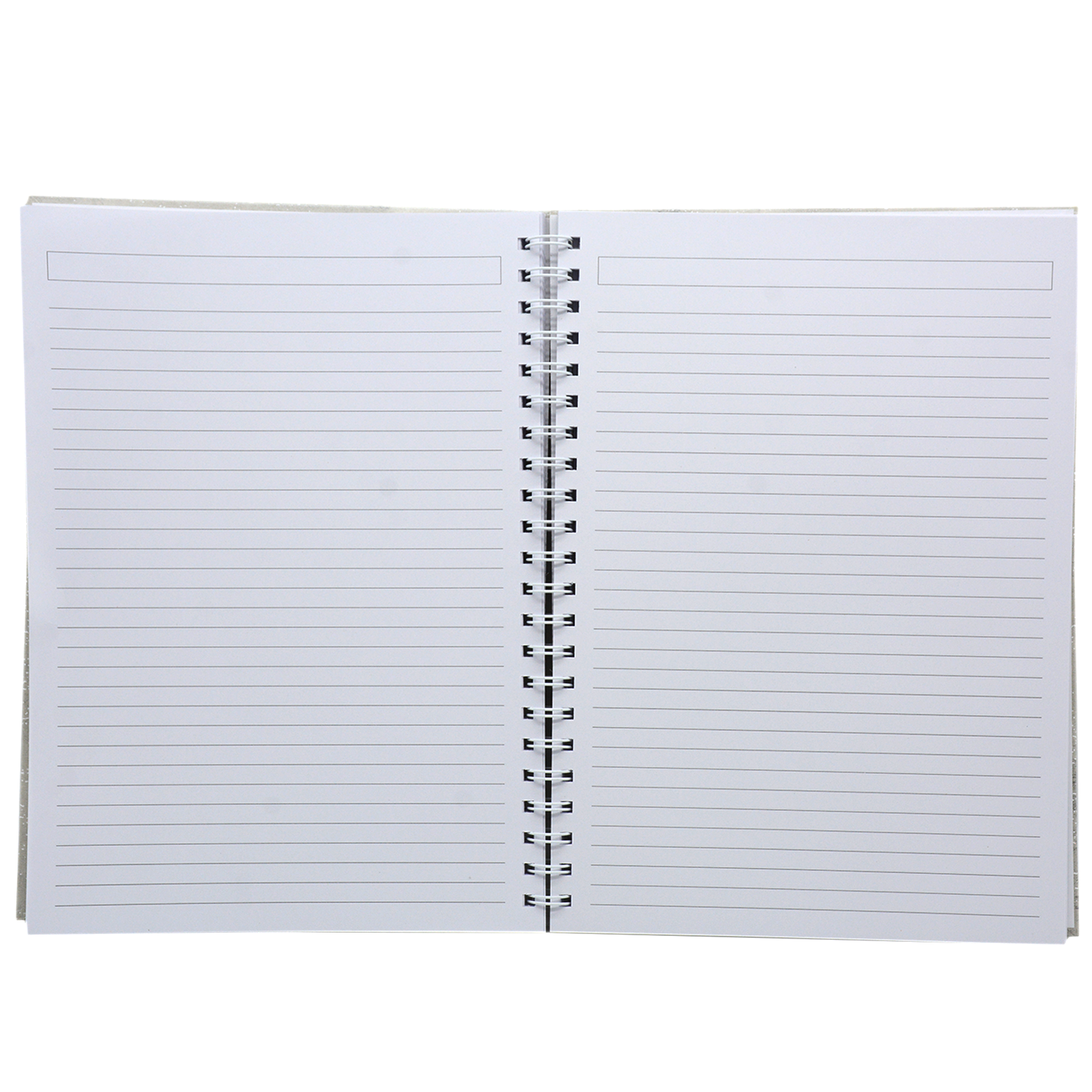 HARD COVER SPIRAL 1LINE NOTEBOOK 100PAGE A4-1001 ASSTD