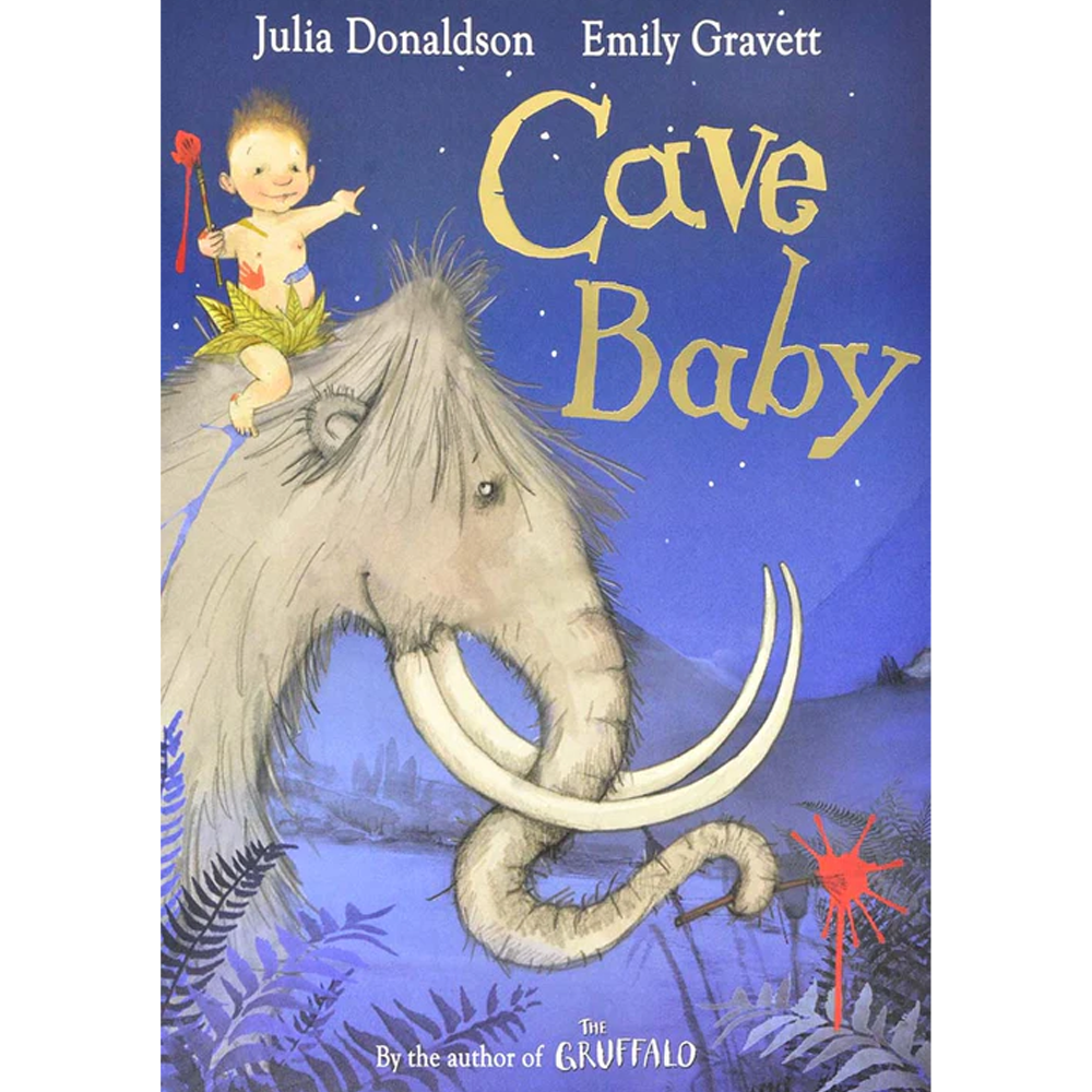 JULIA DONALDSON'S SERIES 3BOOKS SET