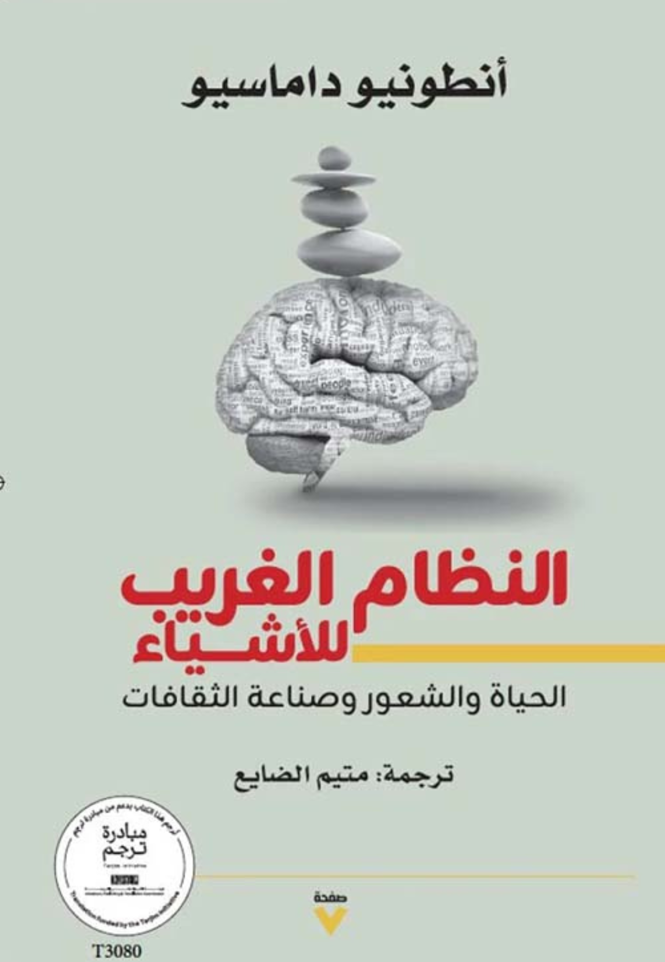 النظام الغريب للاشياء