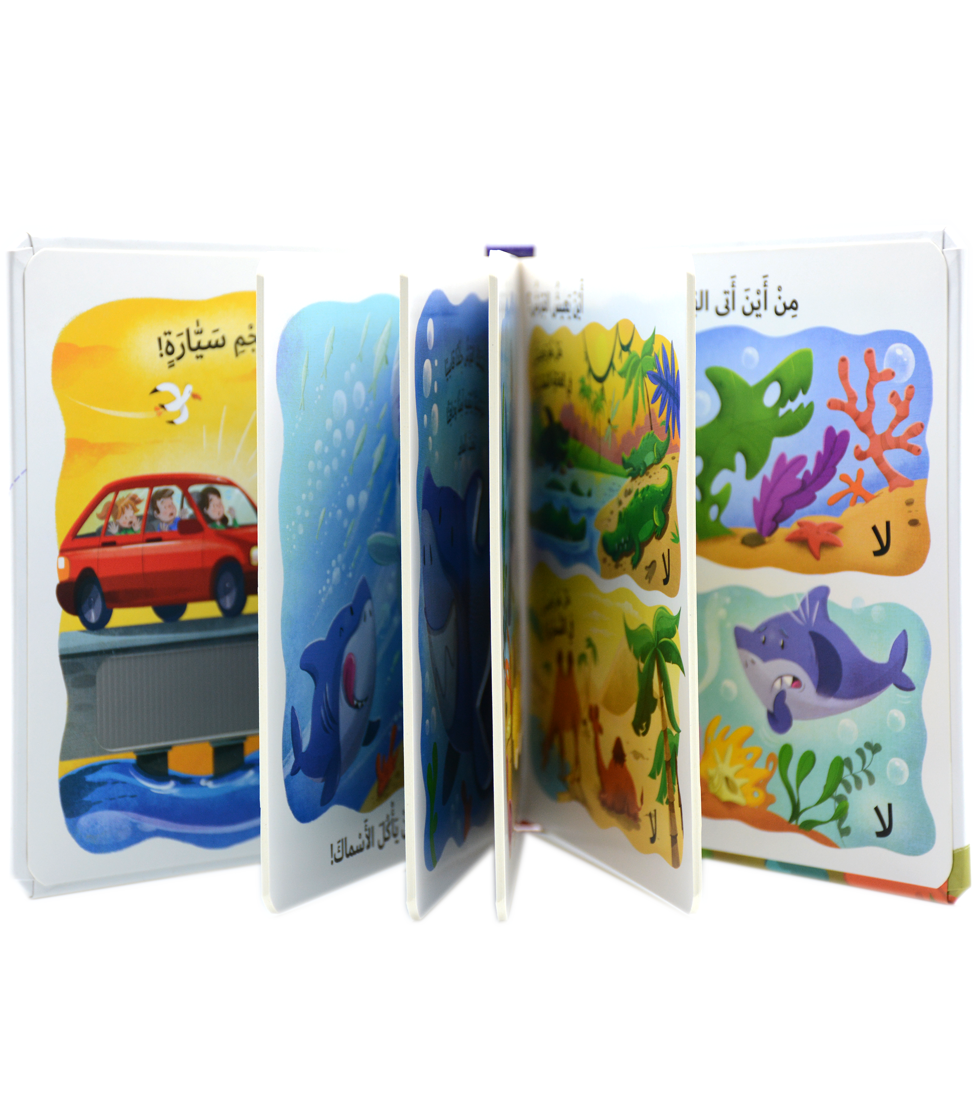 التعلم بحاسة اللمس - ما الذي يحبه القرش