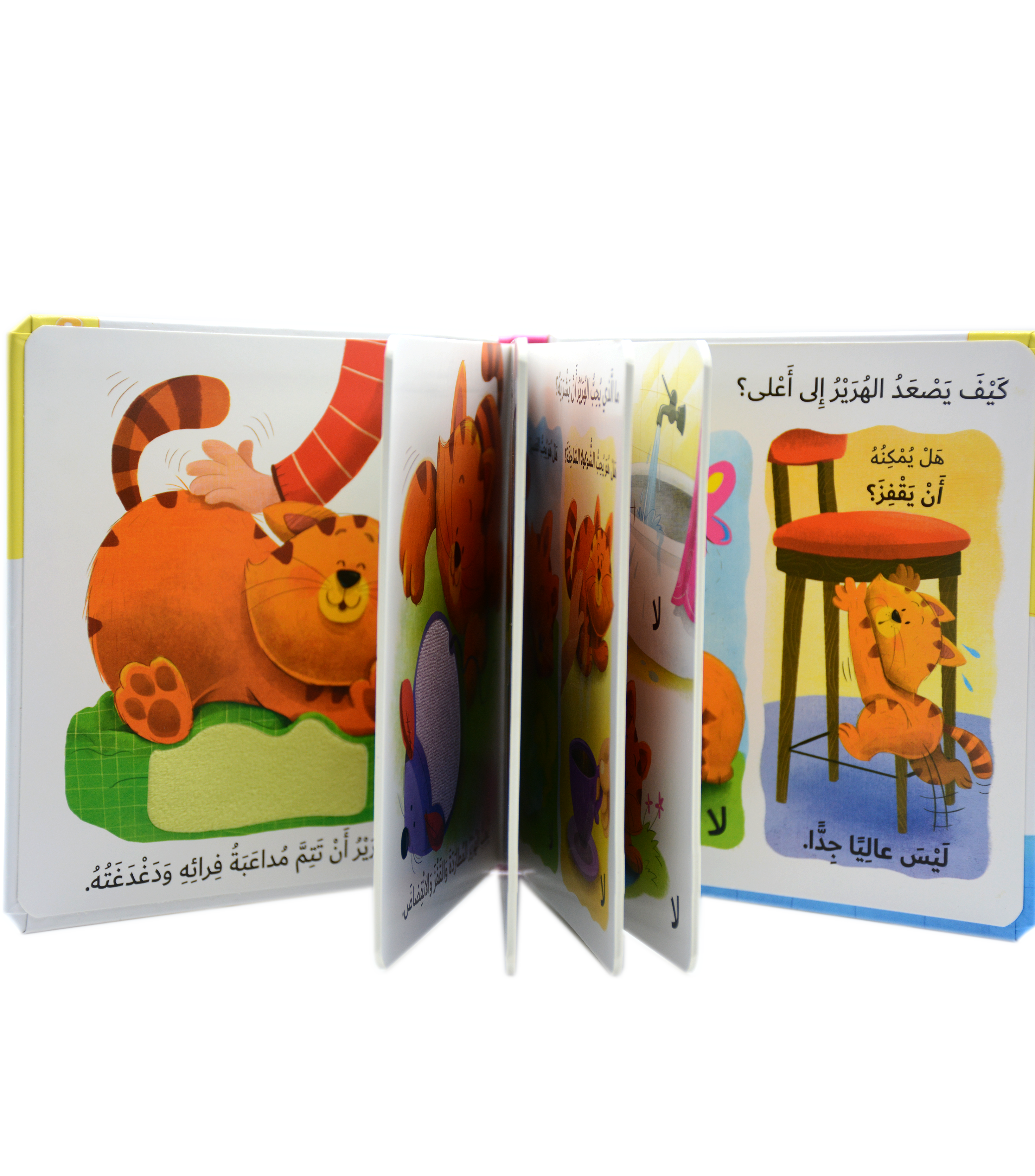 التعلم بحاسة اللمس - ما الذي يحبه الهر الصغير