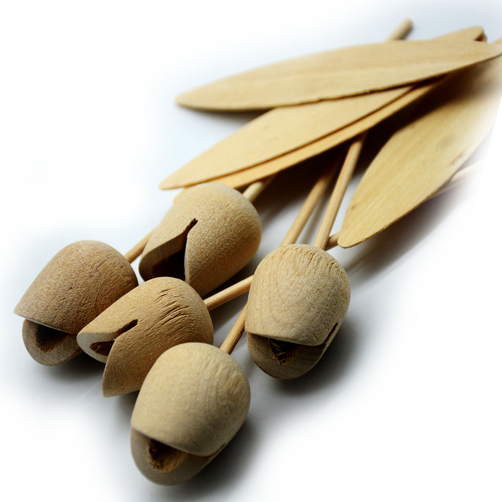 CRAFT PLAIN WOODEN TULIP 4PCS