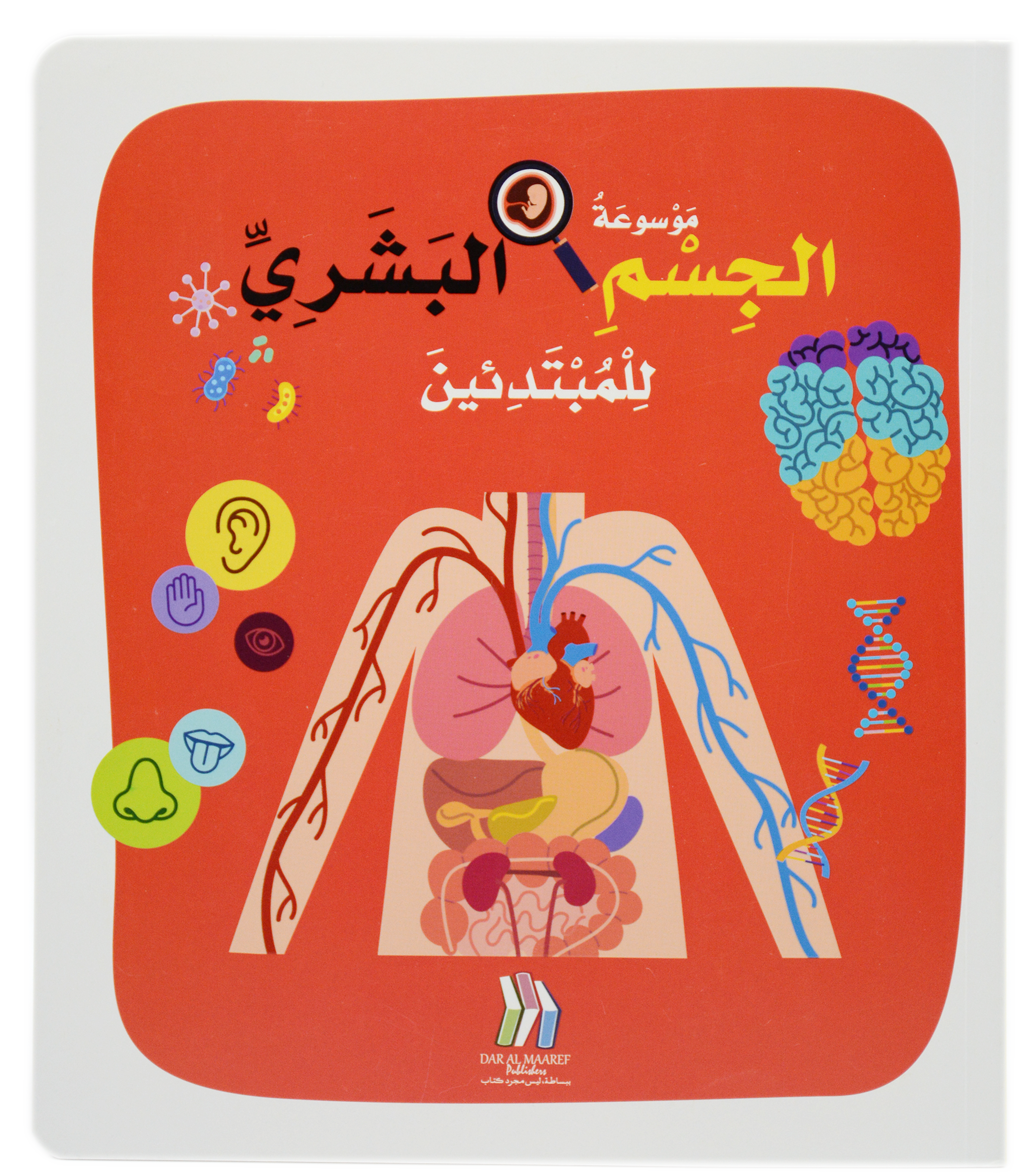 موسوعة الجسم البشري للمبتدئين - غلاف