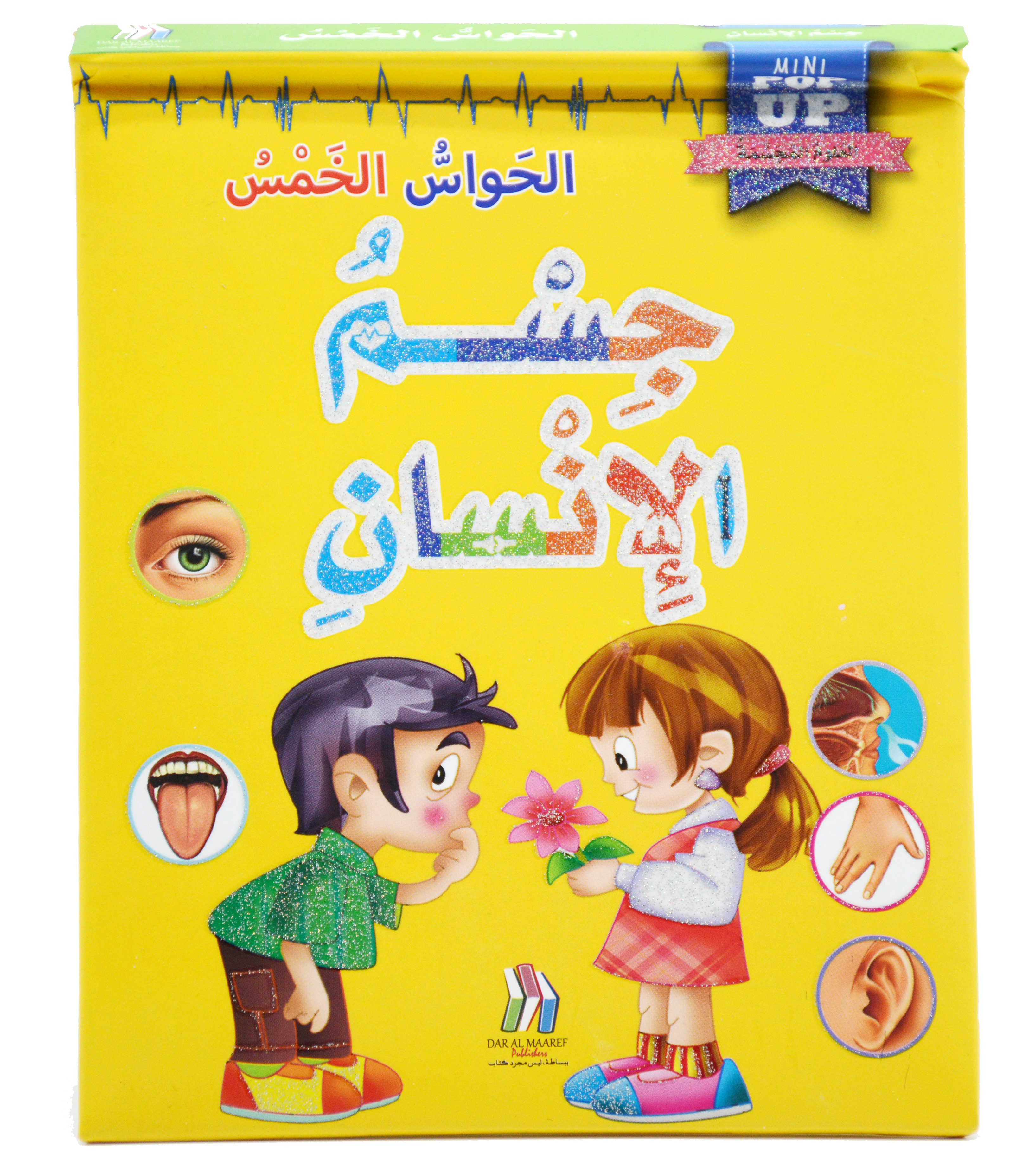 جسم الانسان - الحواس الخمس - العلوم المجسمة