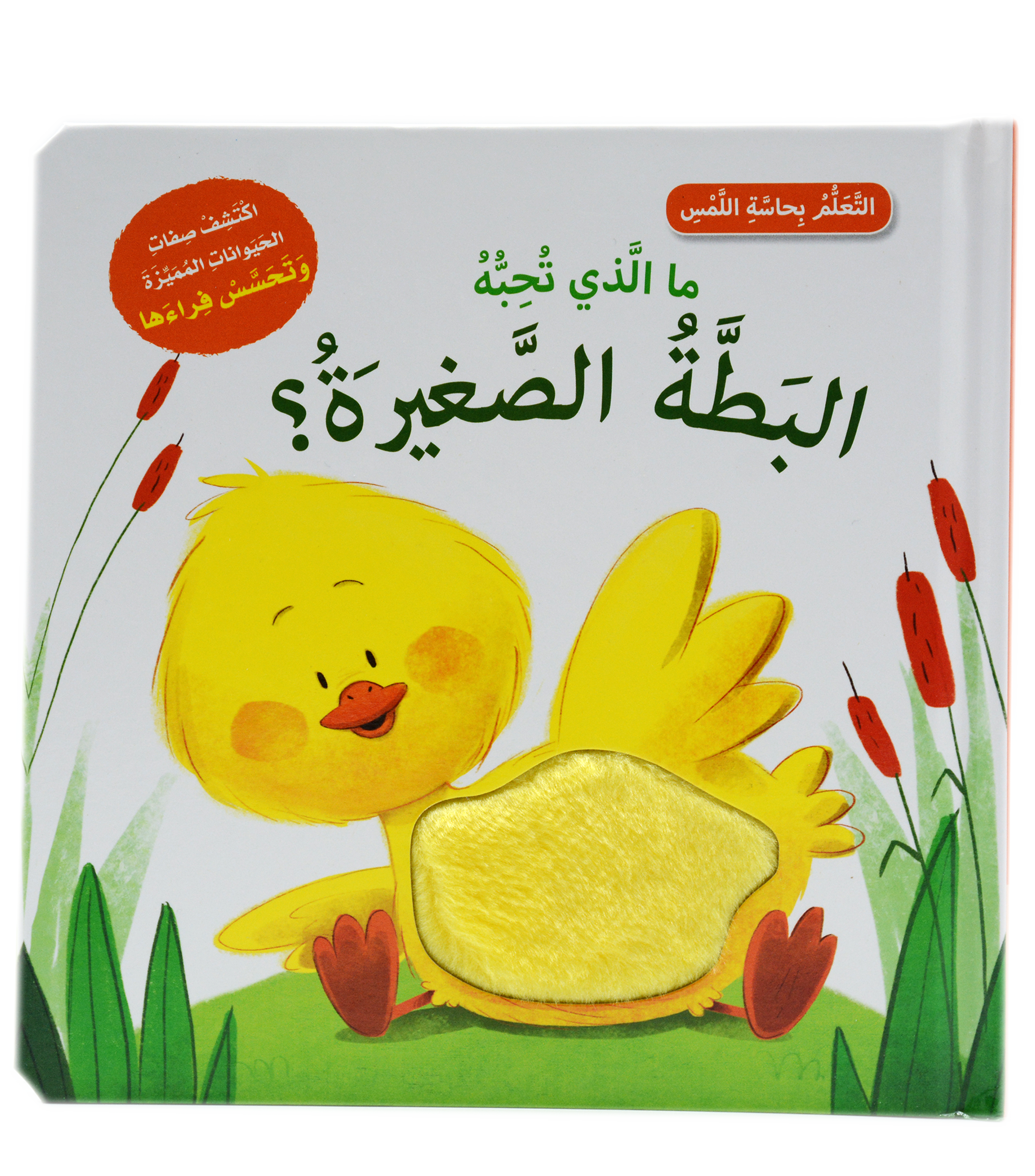 التعلم بحاسة اللمس - ما الذي تحبة الارنبة