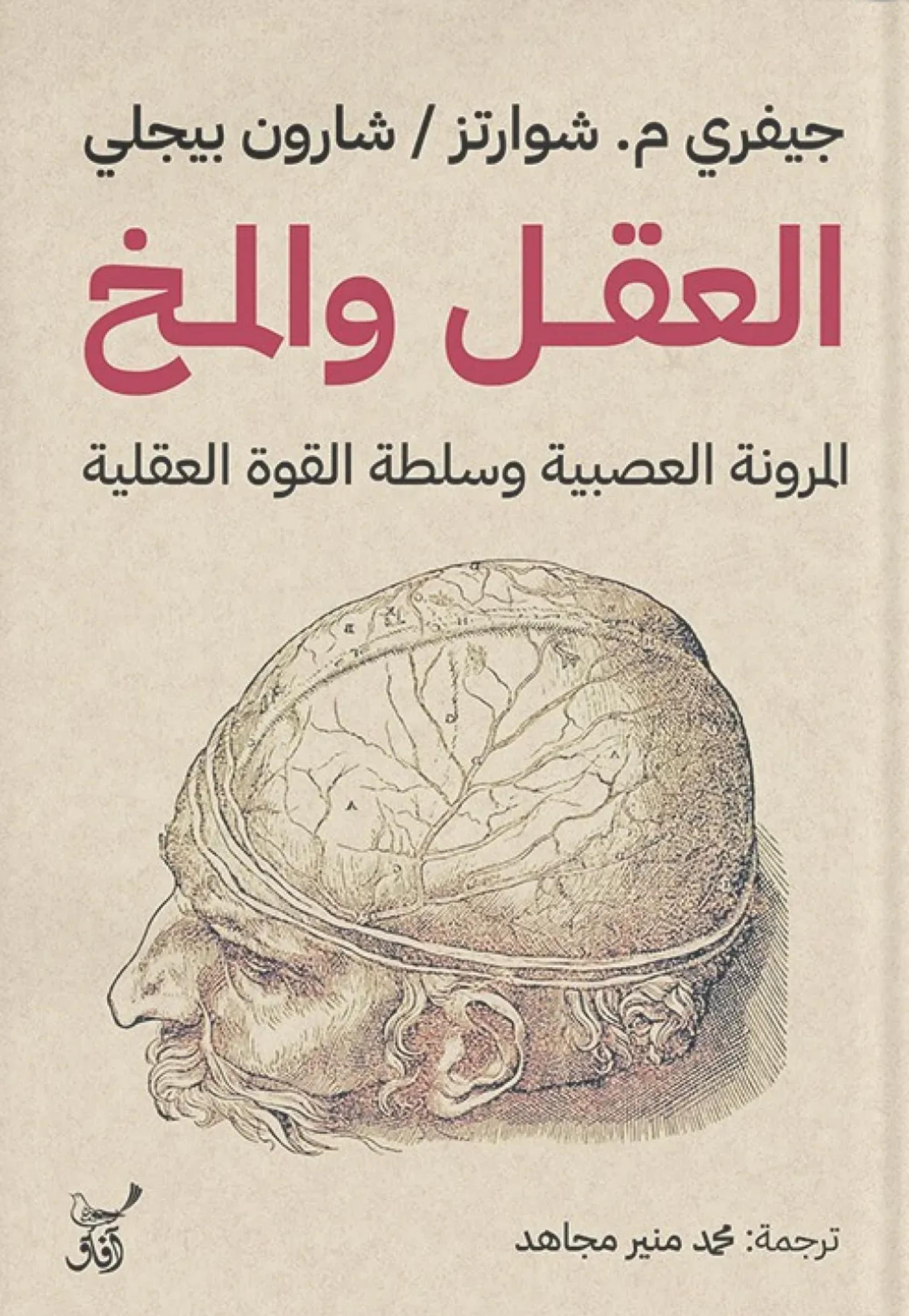 العقل والمخ