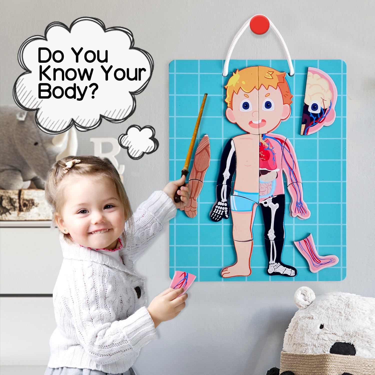 PANDA JUNIORS MAGNETIC PUZZLE GAME-HUMAN BODY 48PCS