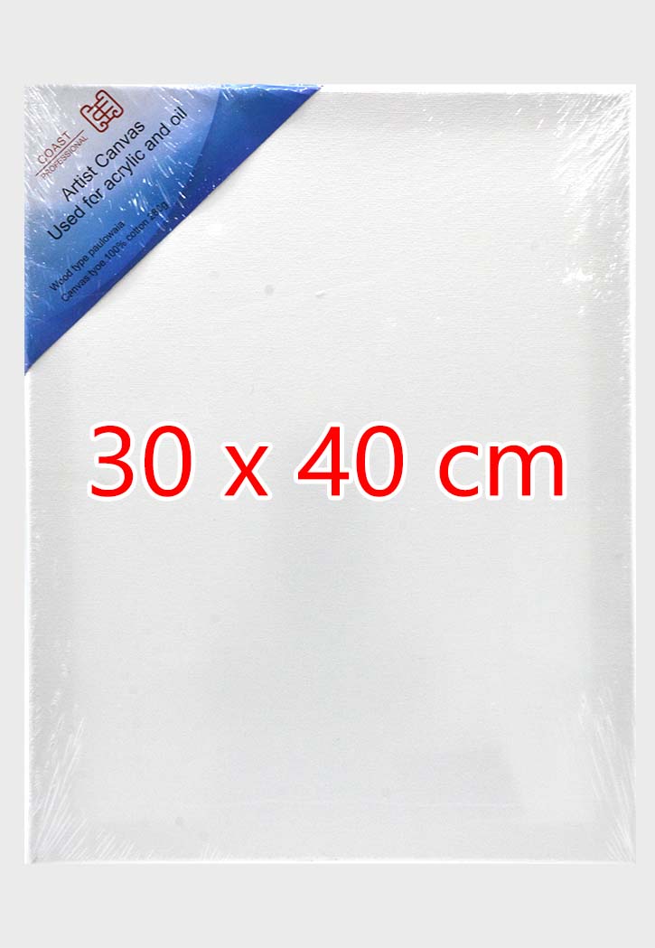 Coast Professional - Artist Canvas 280GSM