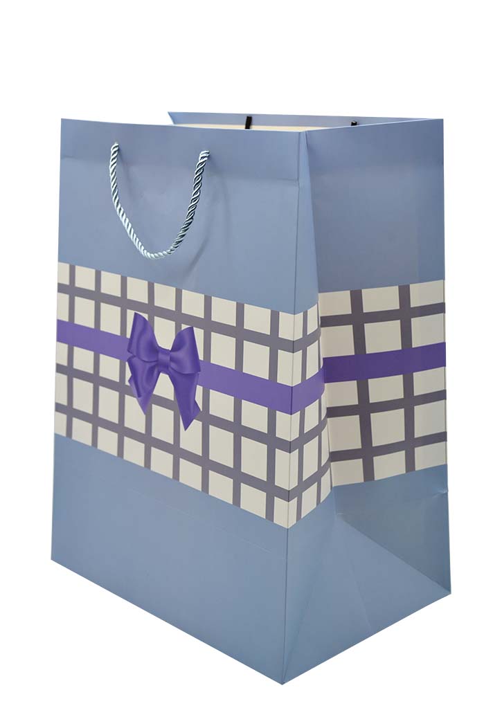 Paper Gift Bag With Design Assorted 45X33X22CM