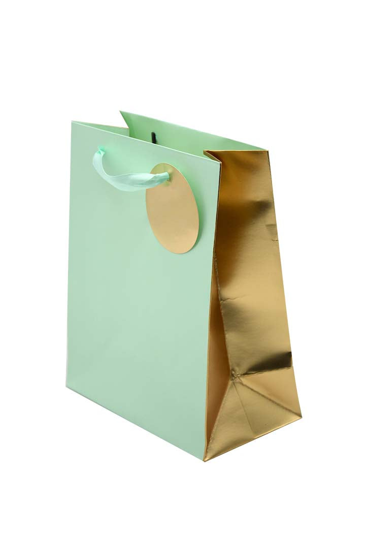 Paper Gift Bag  23X18X10CM Light Green