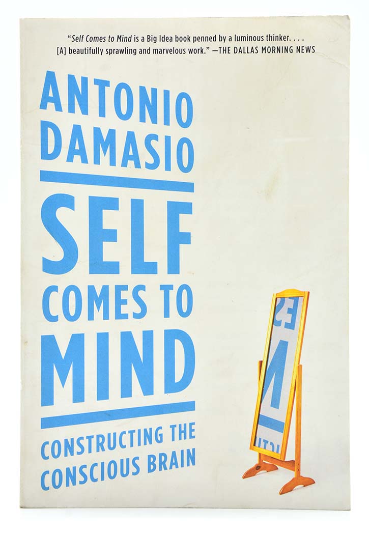 Self Comes to Mind: Constructing the Conscious Brain