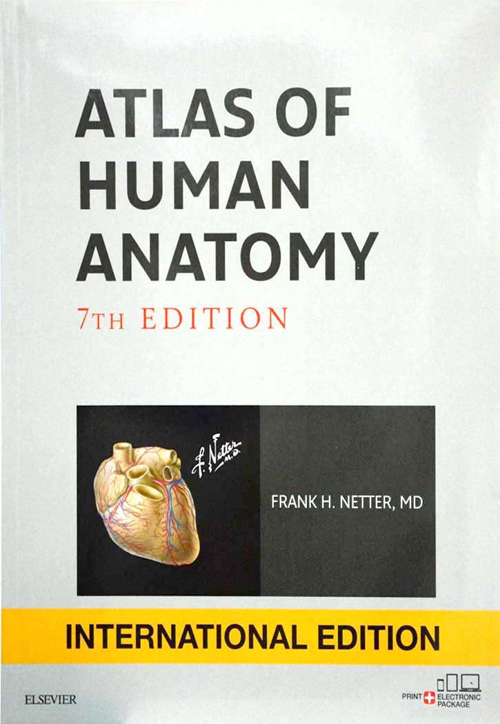 Atlas of Human Anatomy - 7th Edition (International Edition)