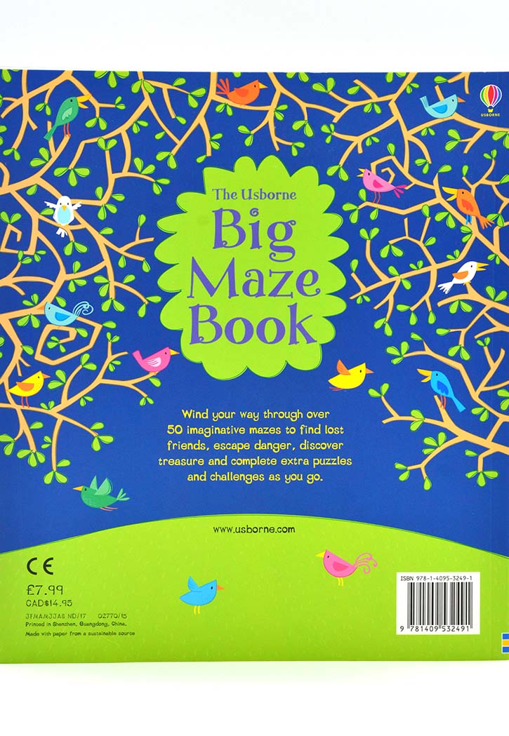 THE USBORNE BIG MAZE BOOK