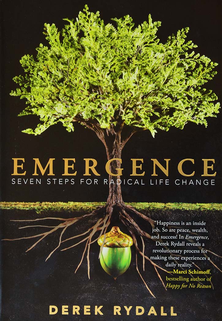 Emergence : Seven Steps For Radical Life Change