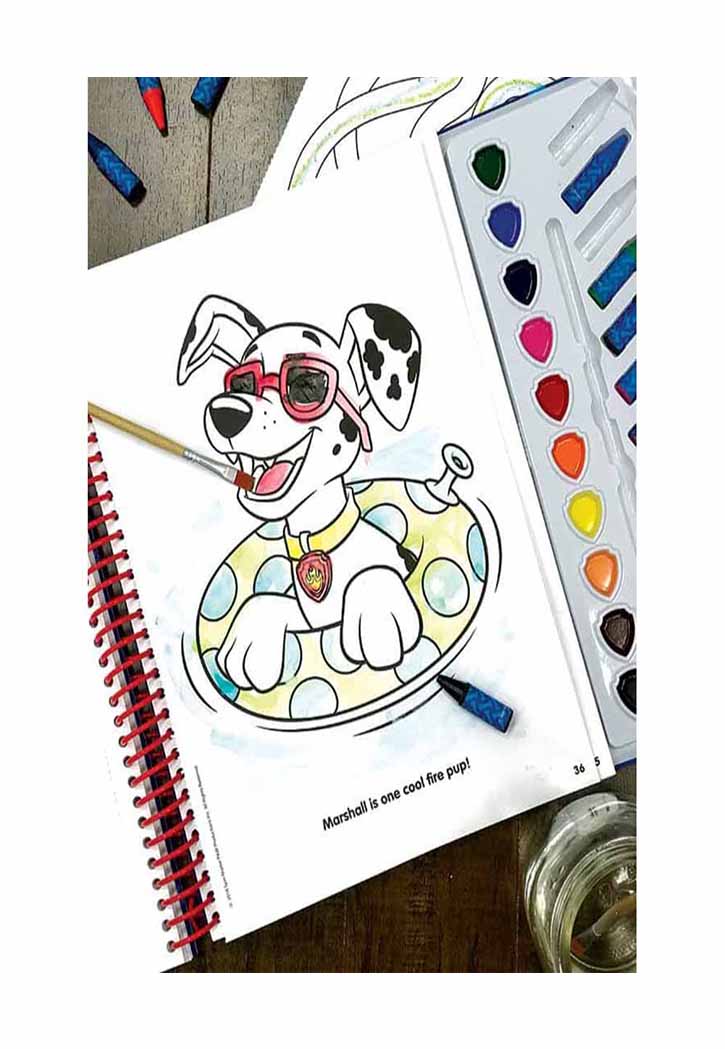 Paw Patrol Deluxe Poster Paint & Color